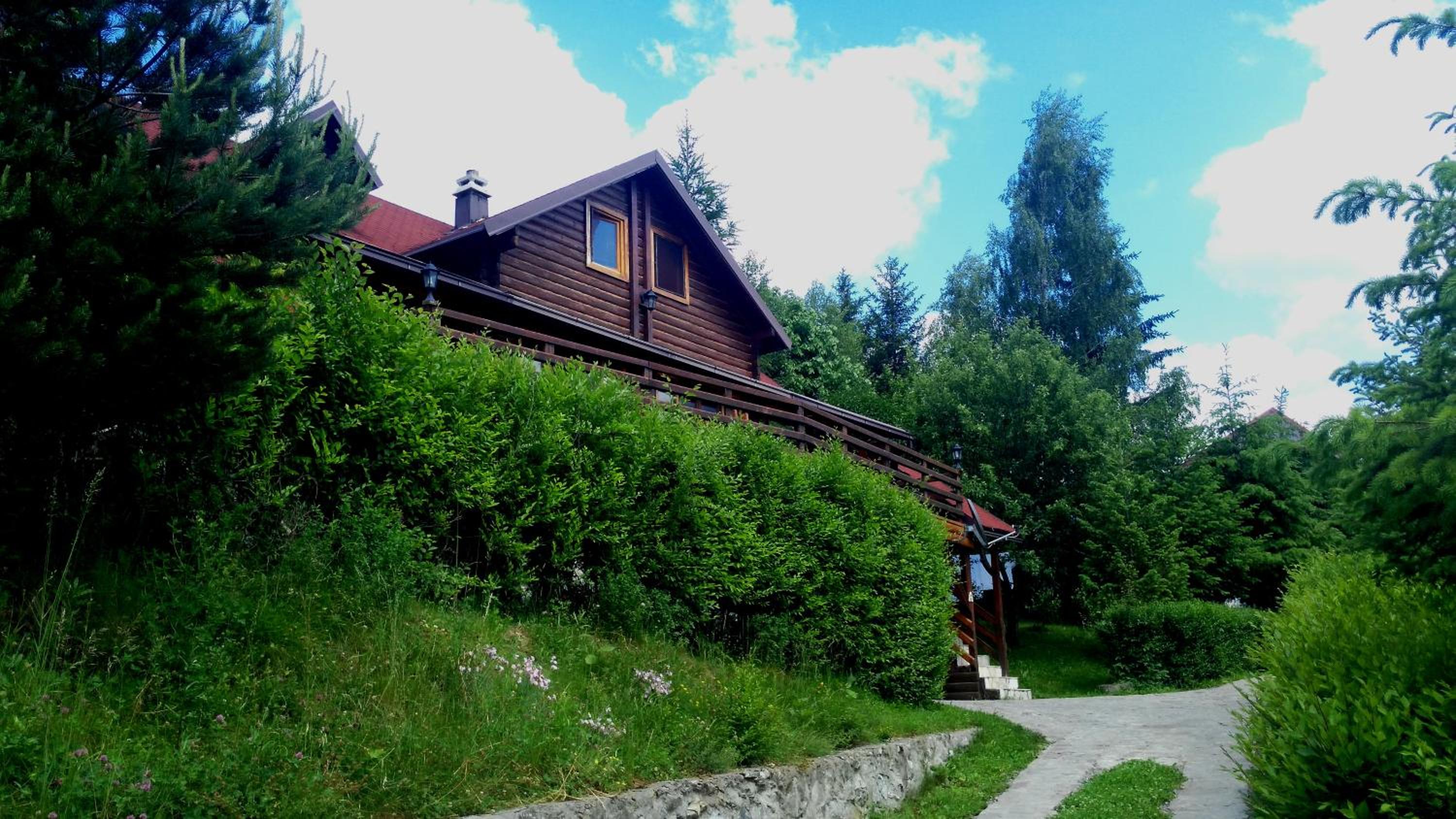 Photo 25