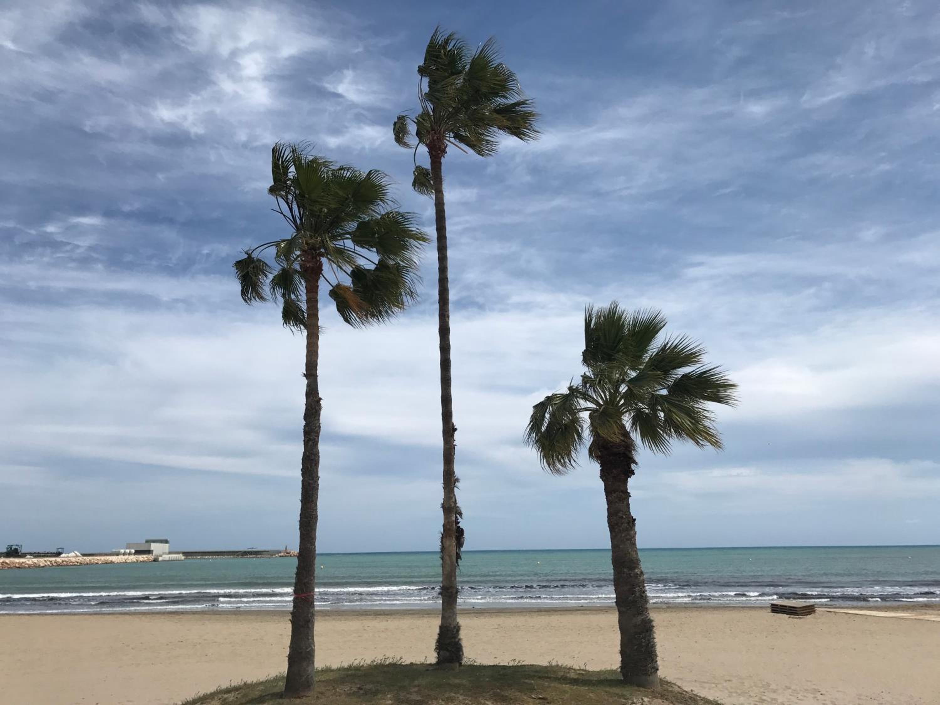 Apartamento a 100m de la playa view 4