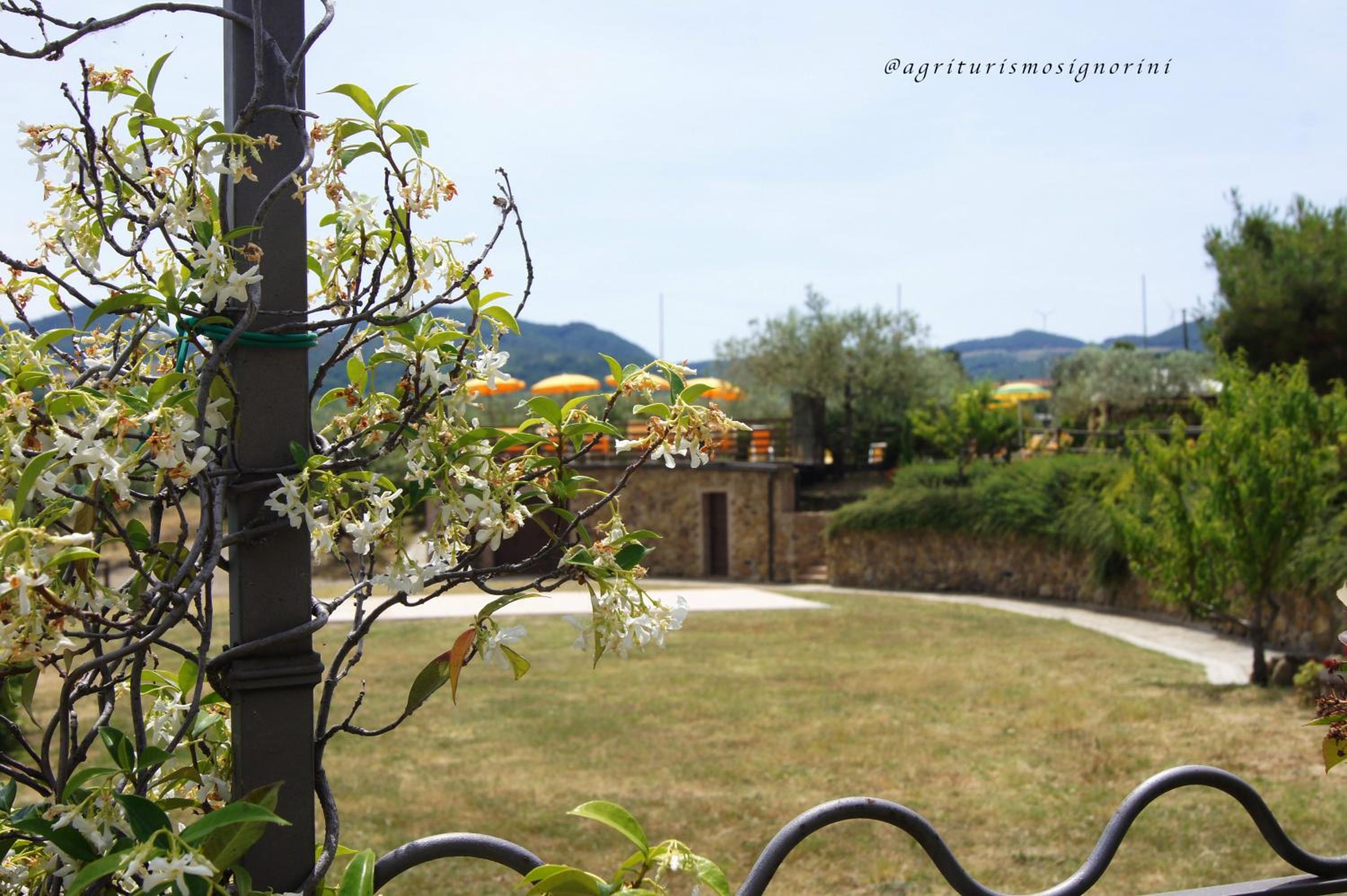 Agriturismo Signorini