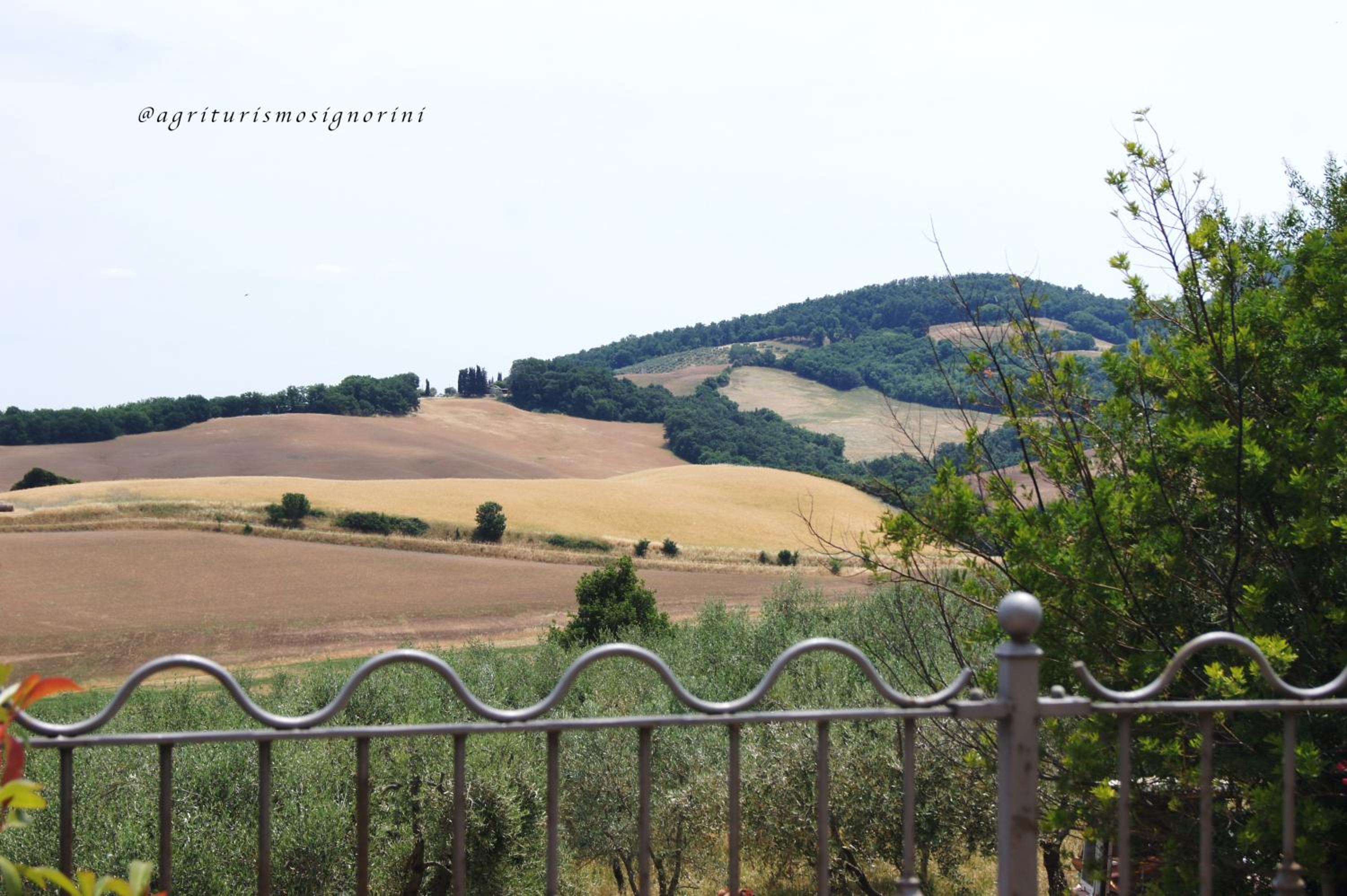 Agriturismo Signorini