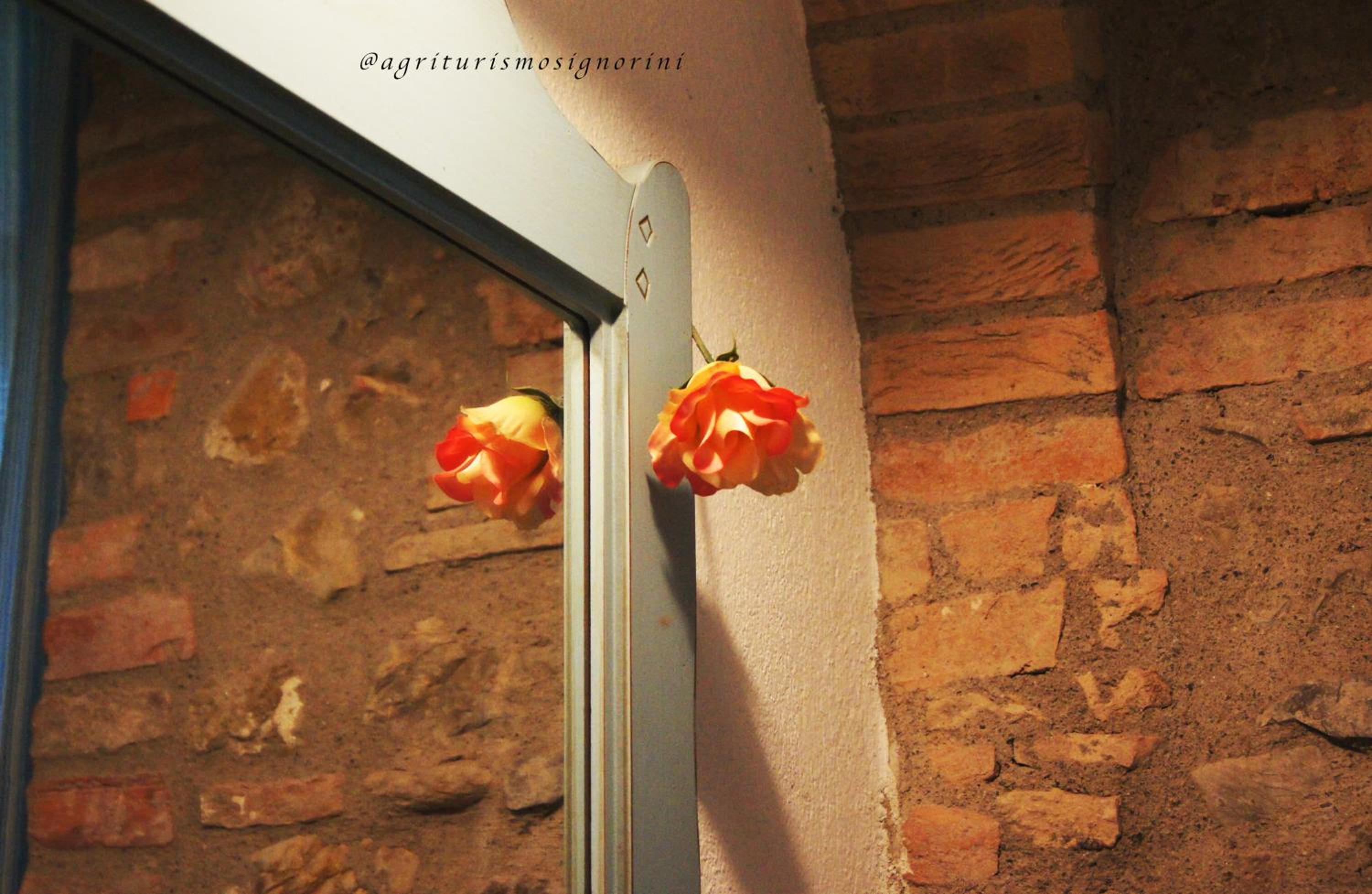 Agriturismo Signorini