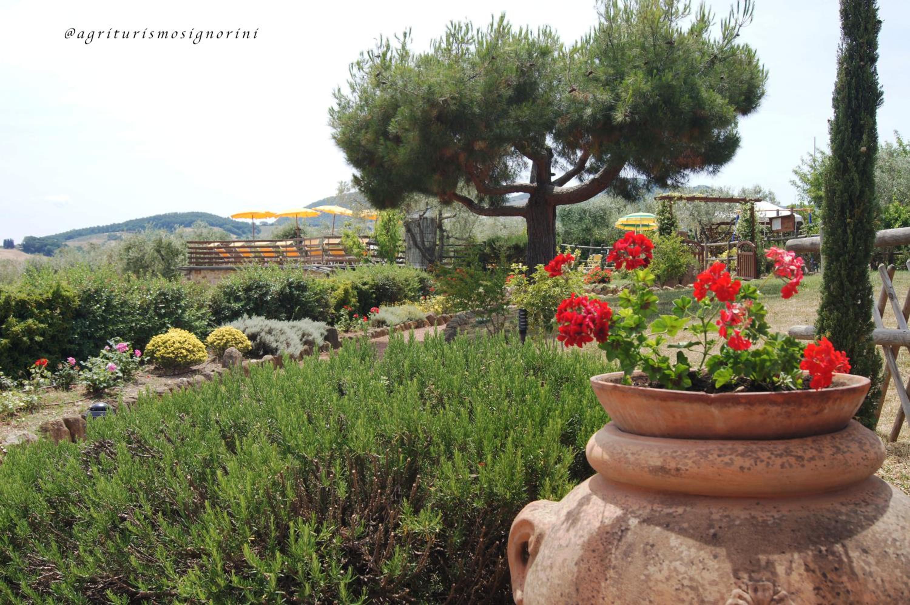 Agriturismo Signorini
