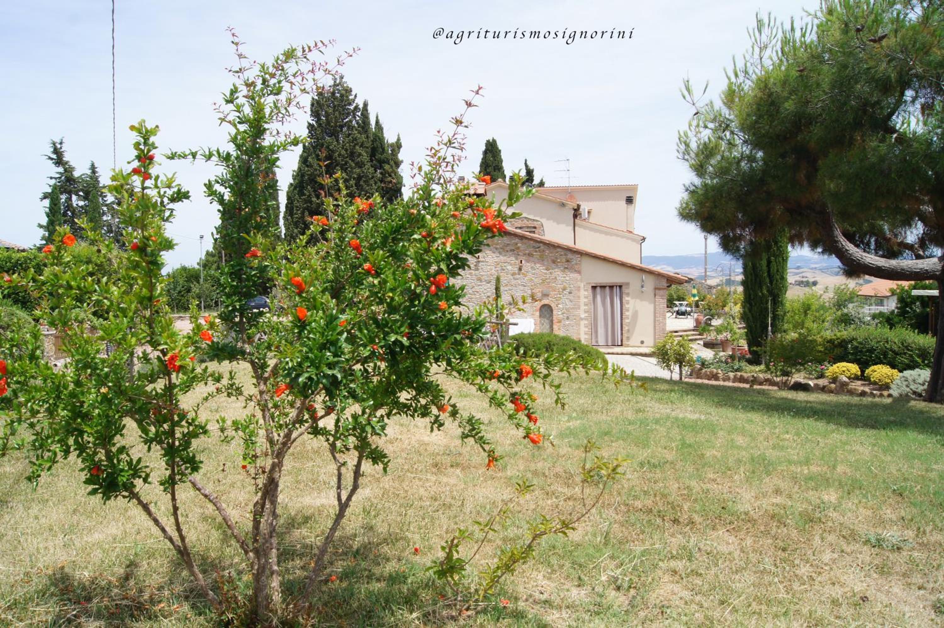 Agriturismo Signorini