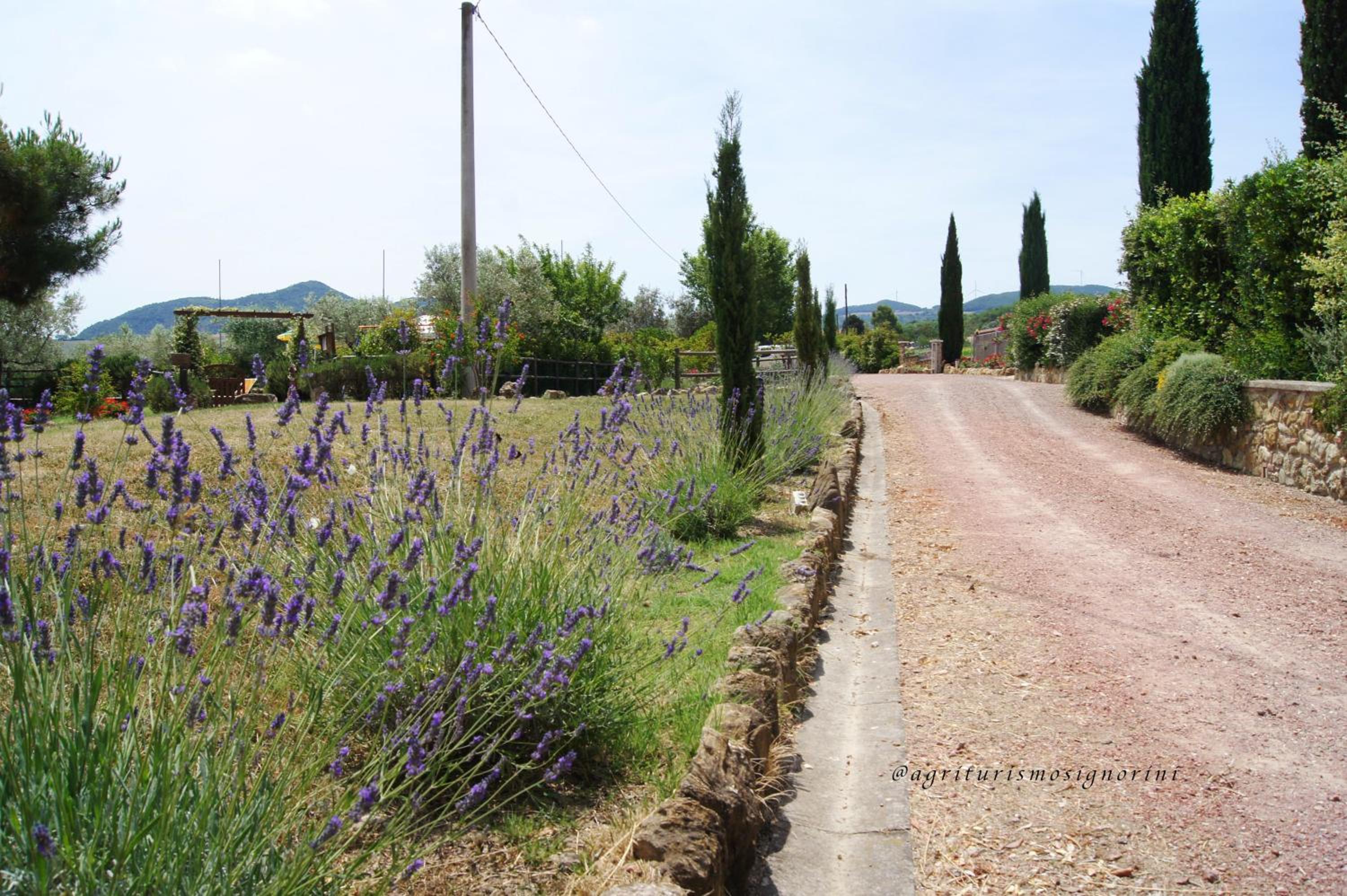 Agriturismo Signorini