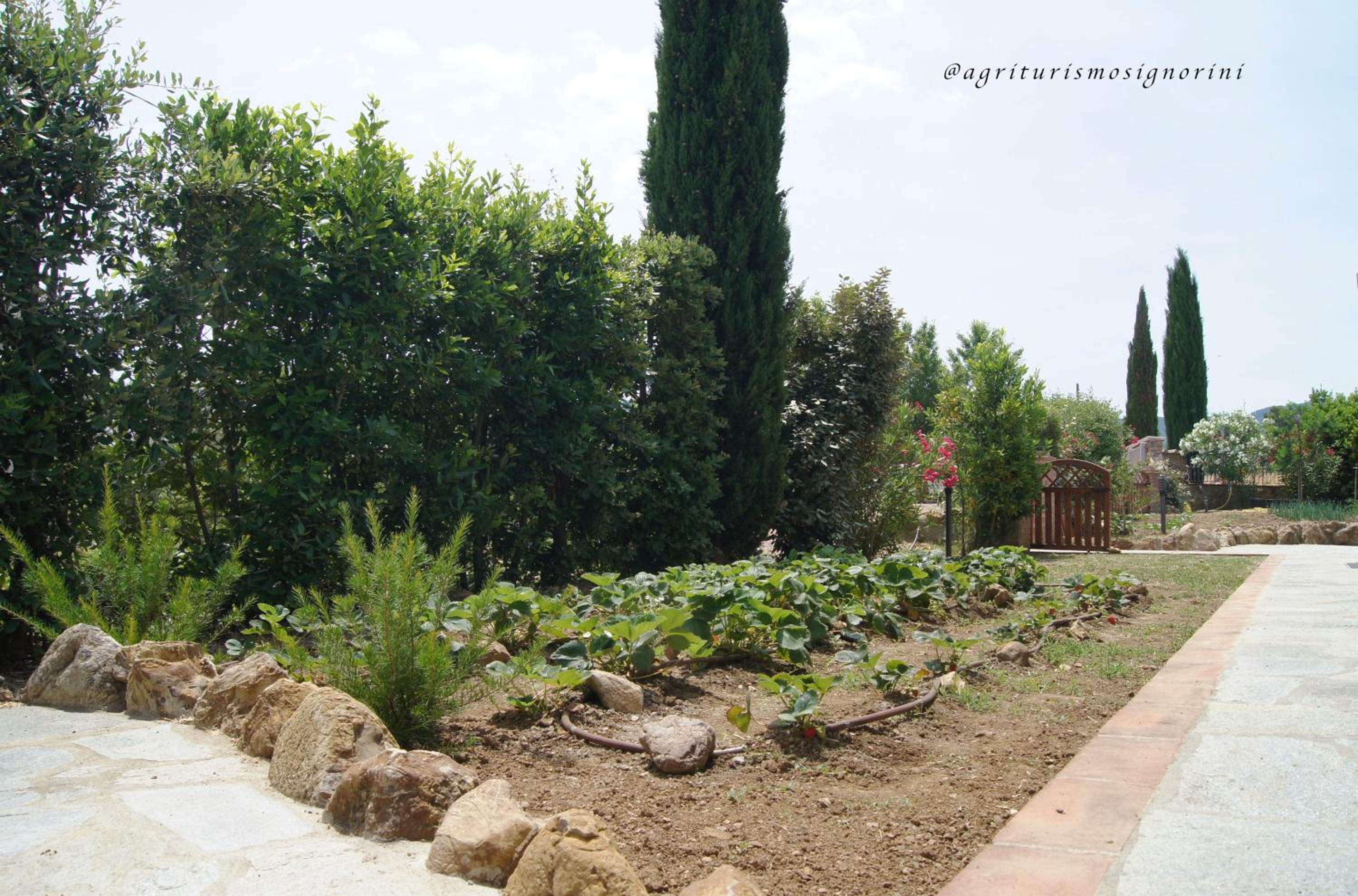 Agriturismo Signorini