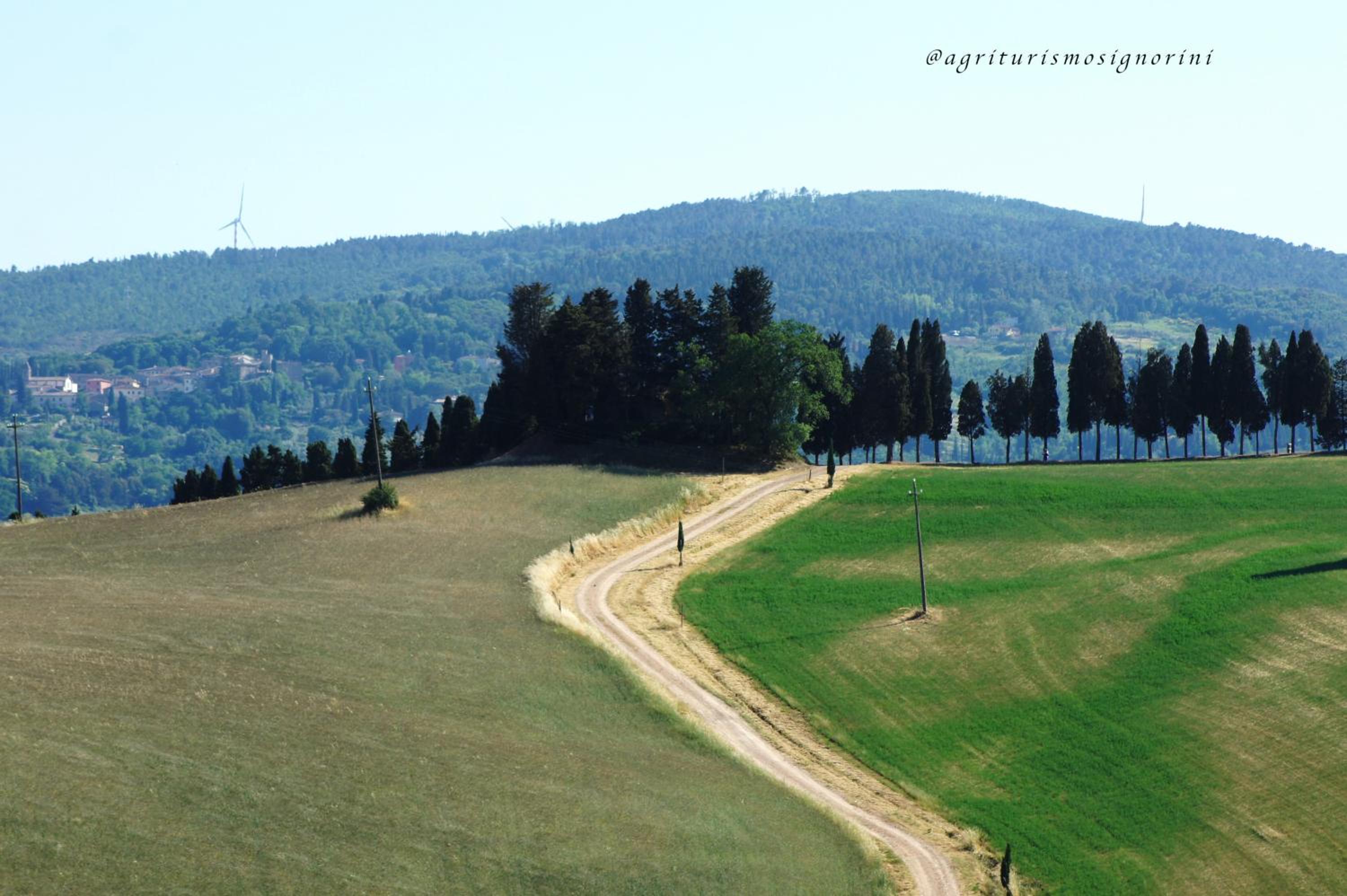 Agriturismo Signorini
