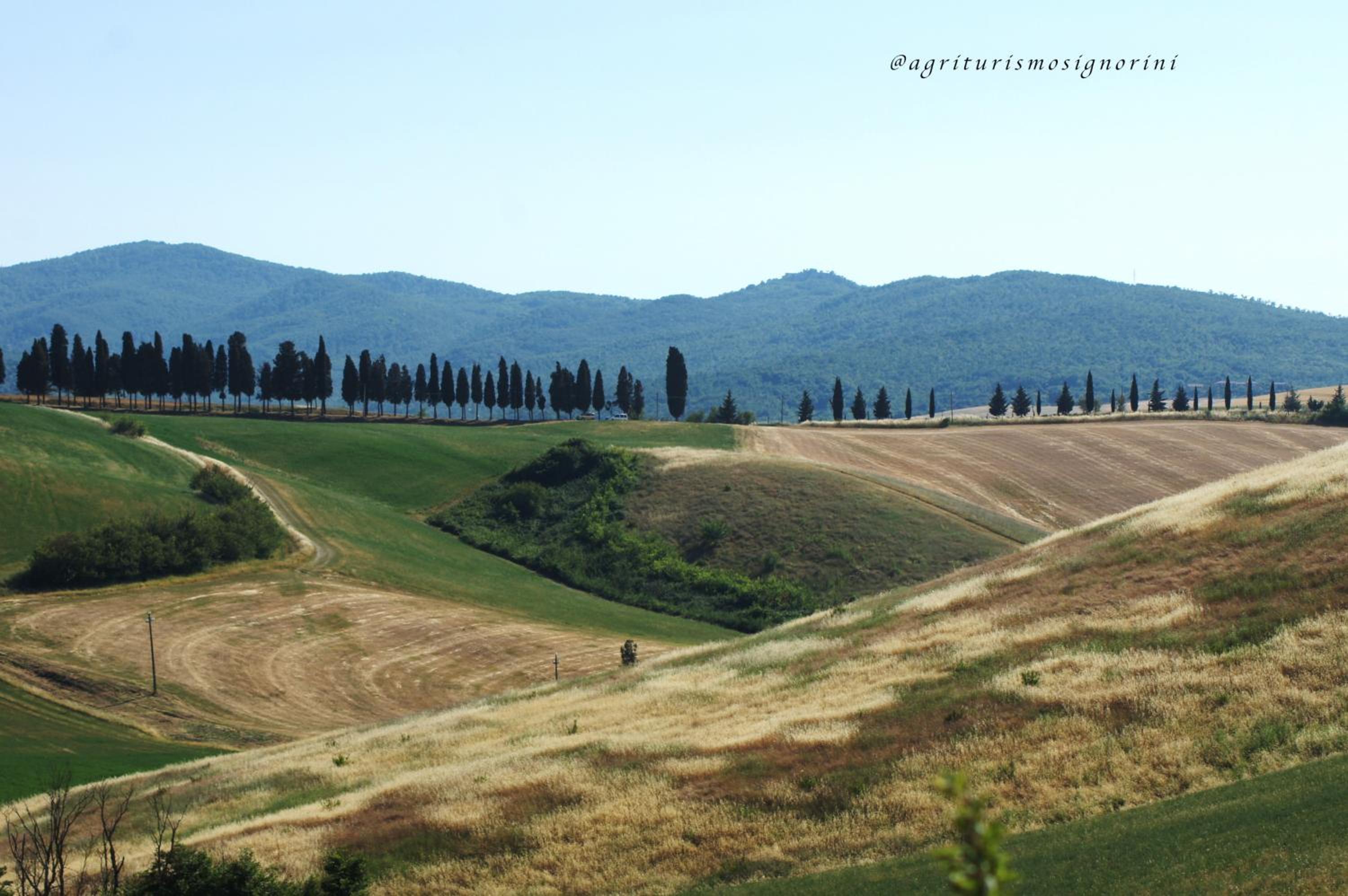 Agriturismo Signorini