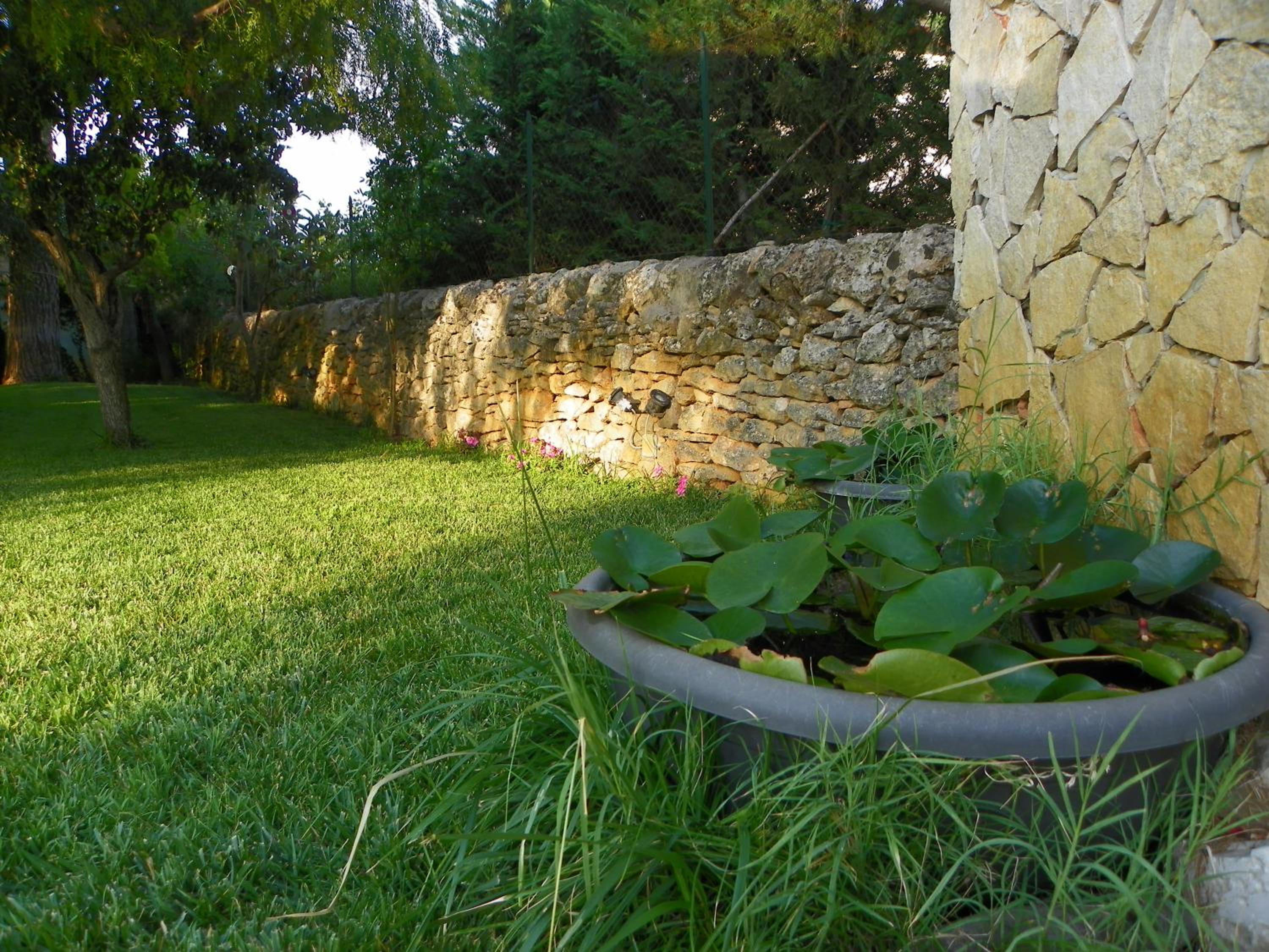 Photo 46