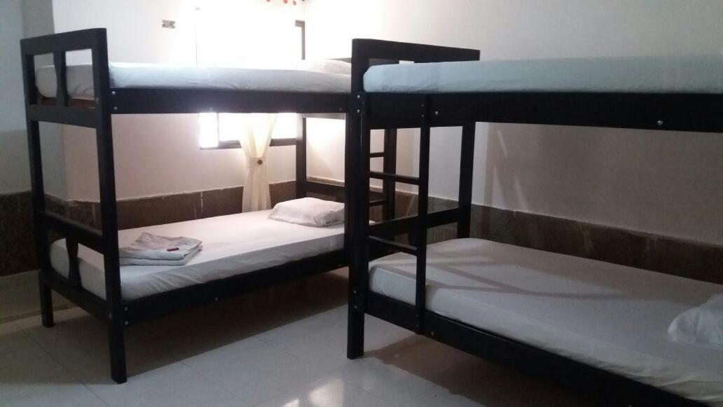 cactus city hostel confort view 5