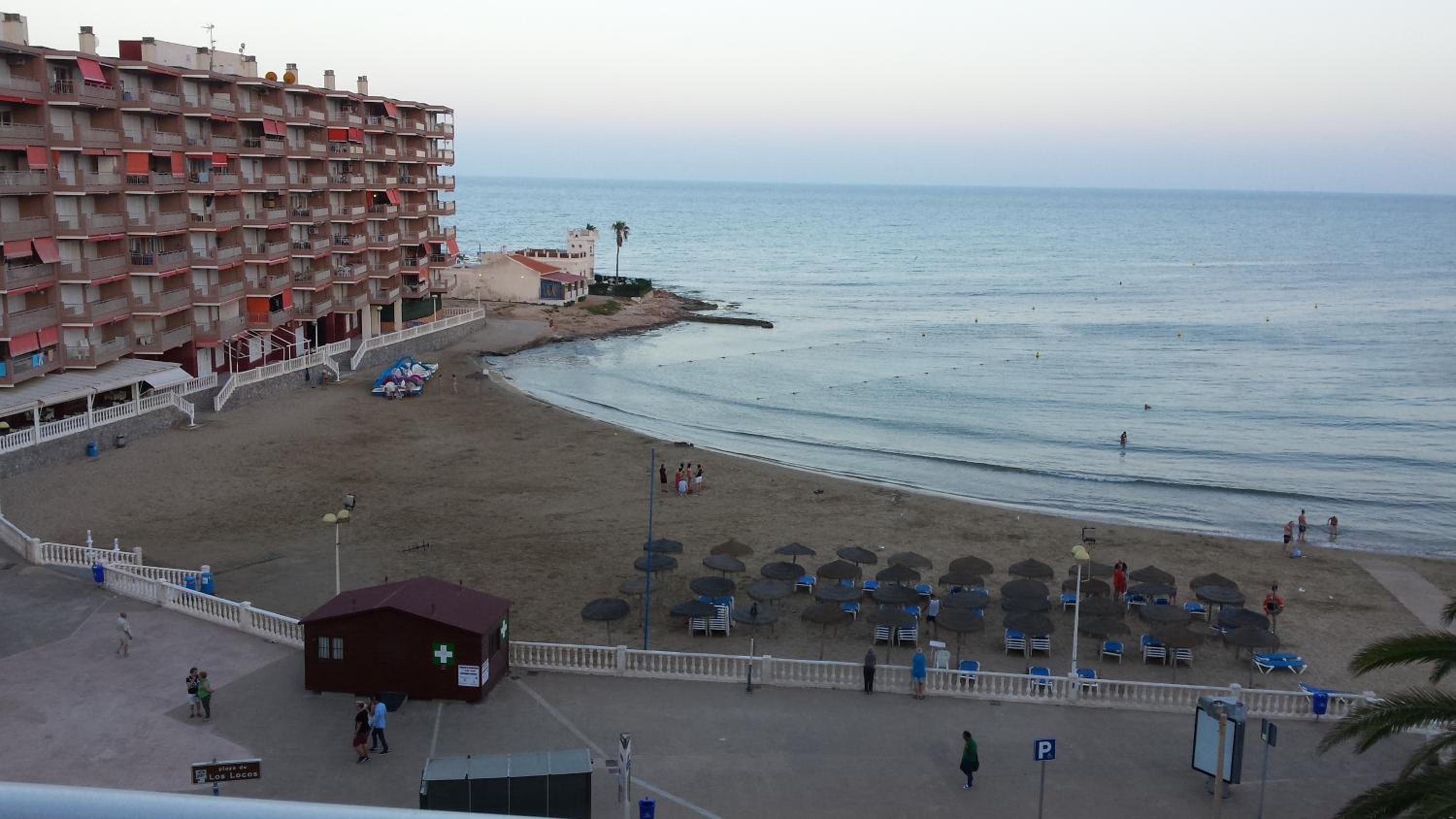 Palmeral de Torrevieja photo 1