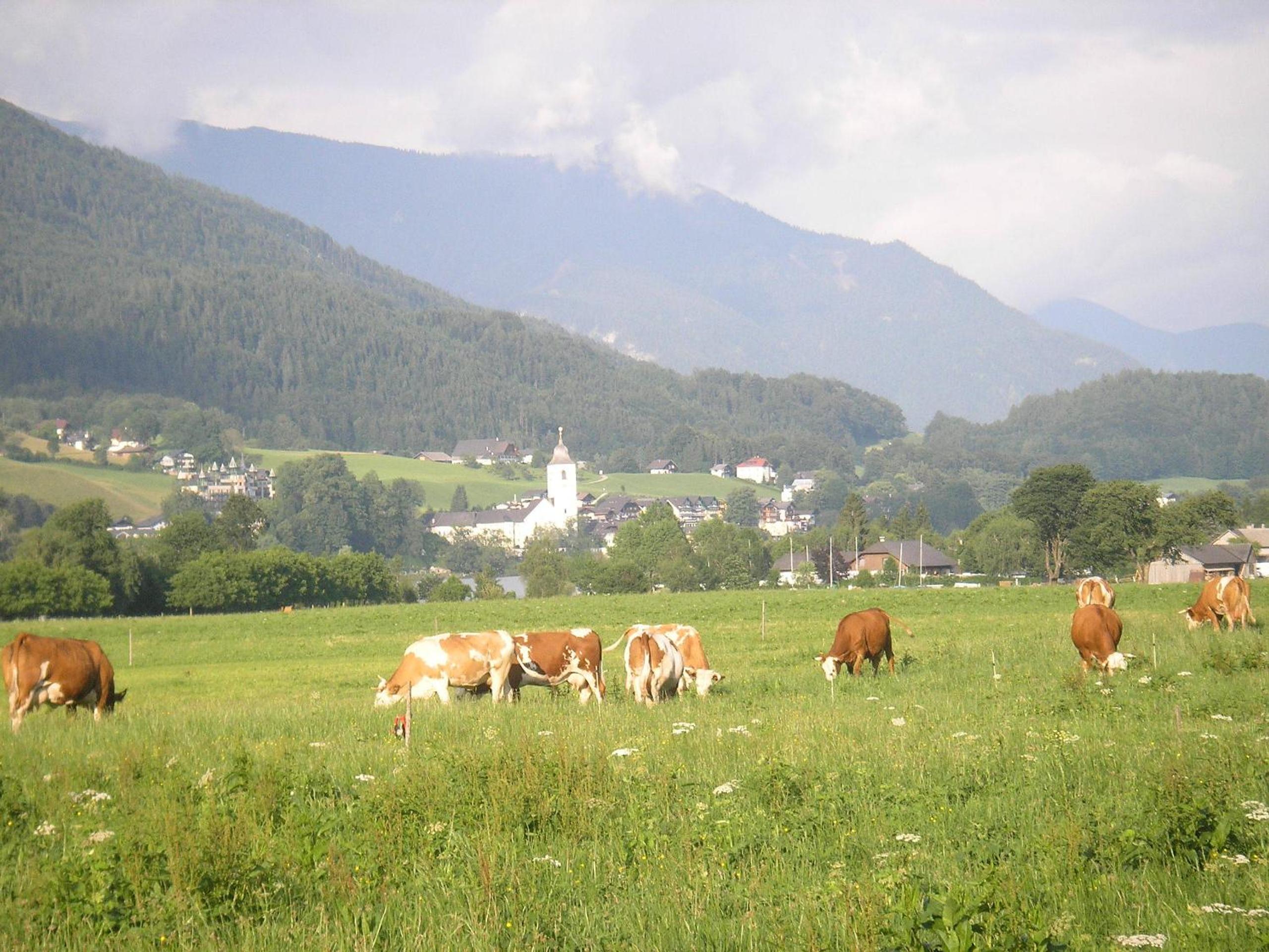 Loitzbauer Ferienwohnungen