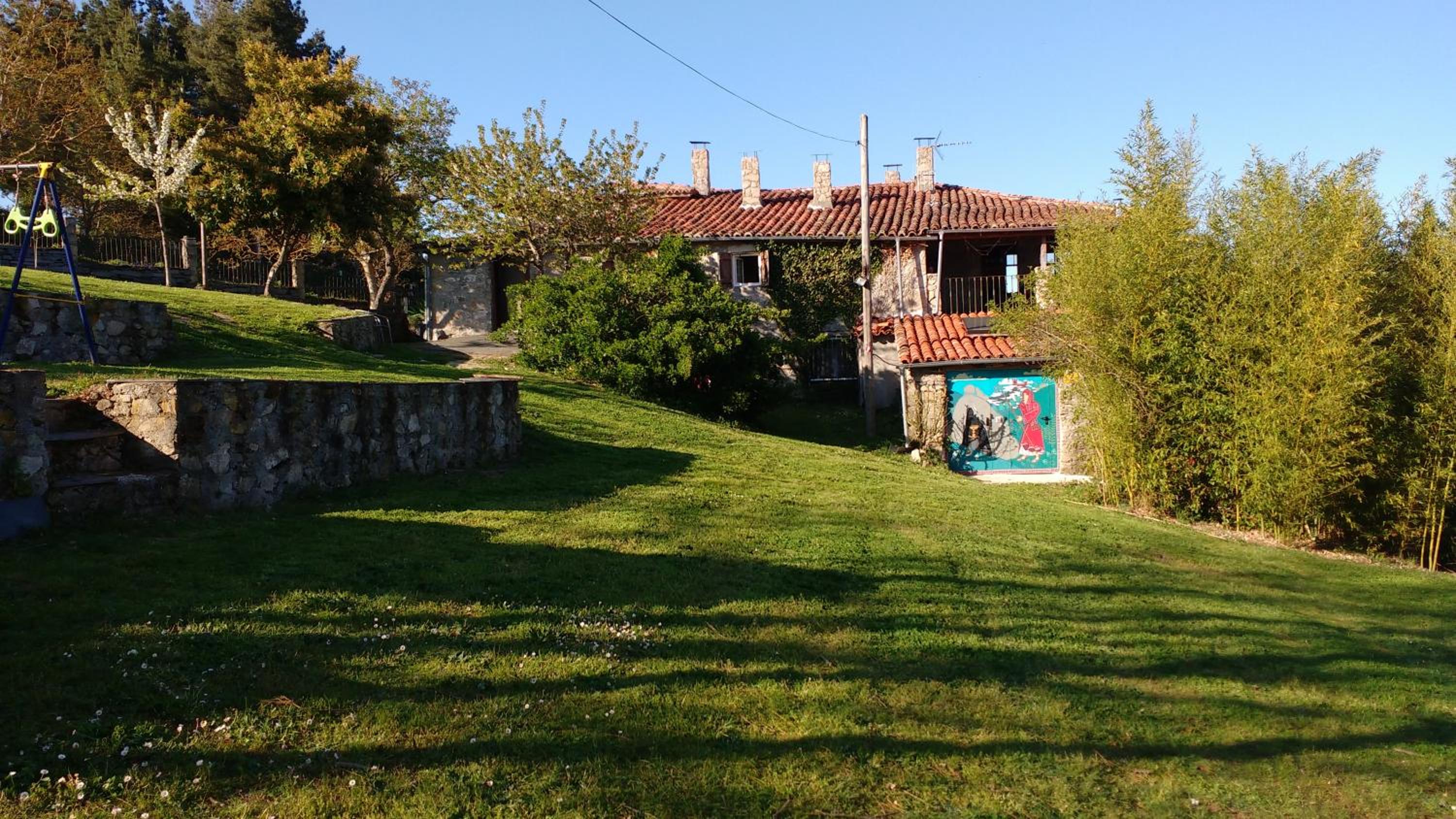 Photo 11