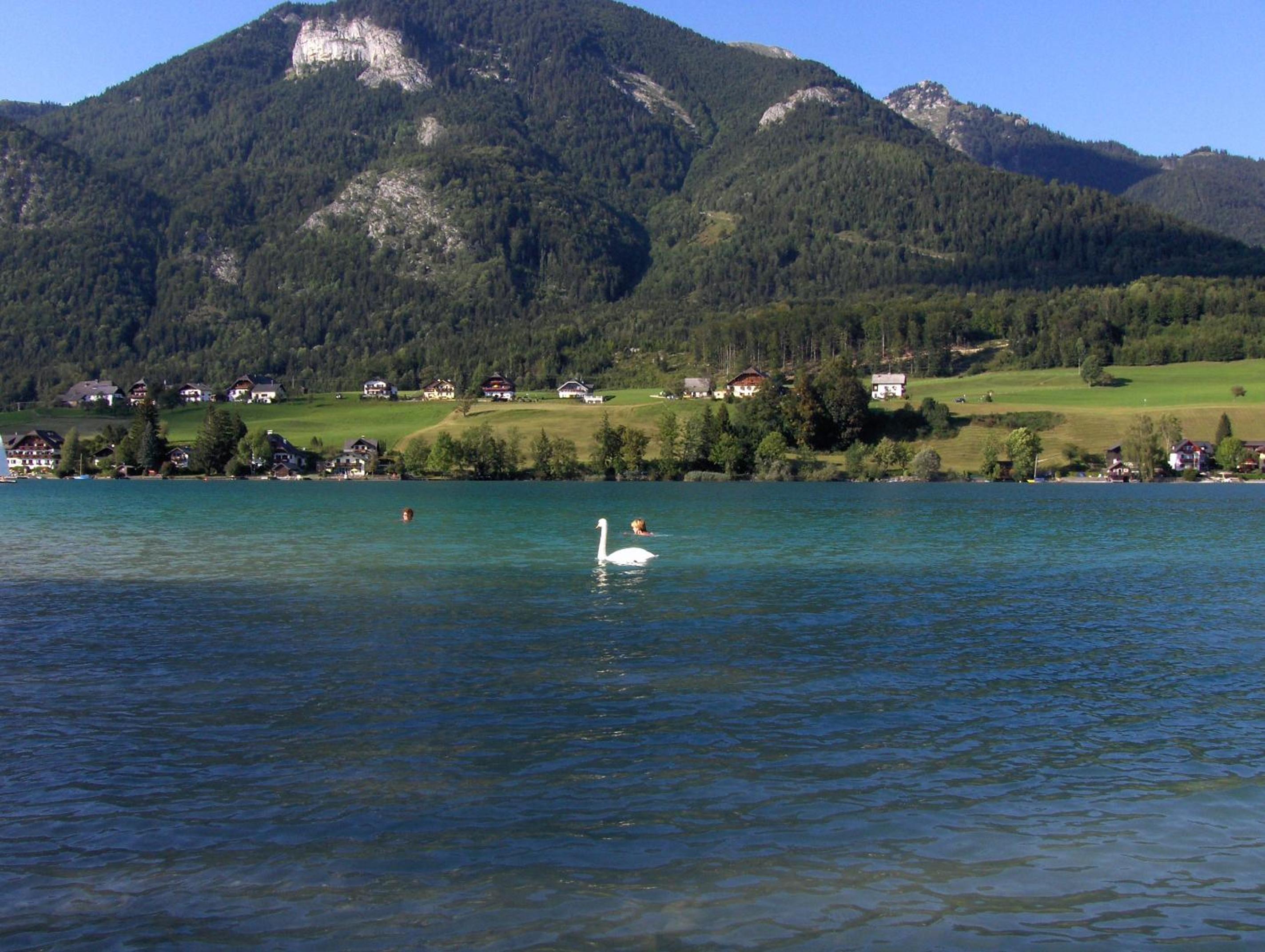 Loitzbauer Ferienwohnungen