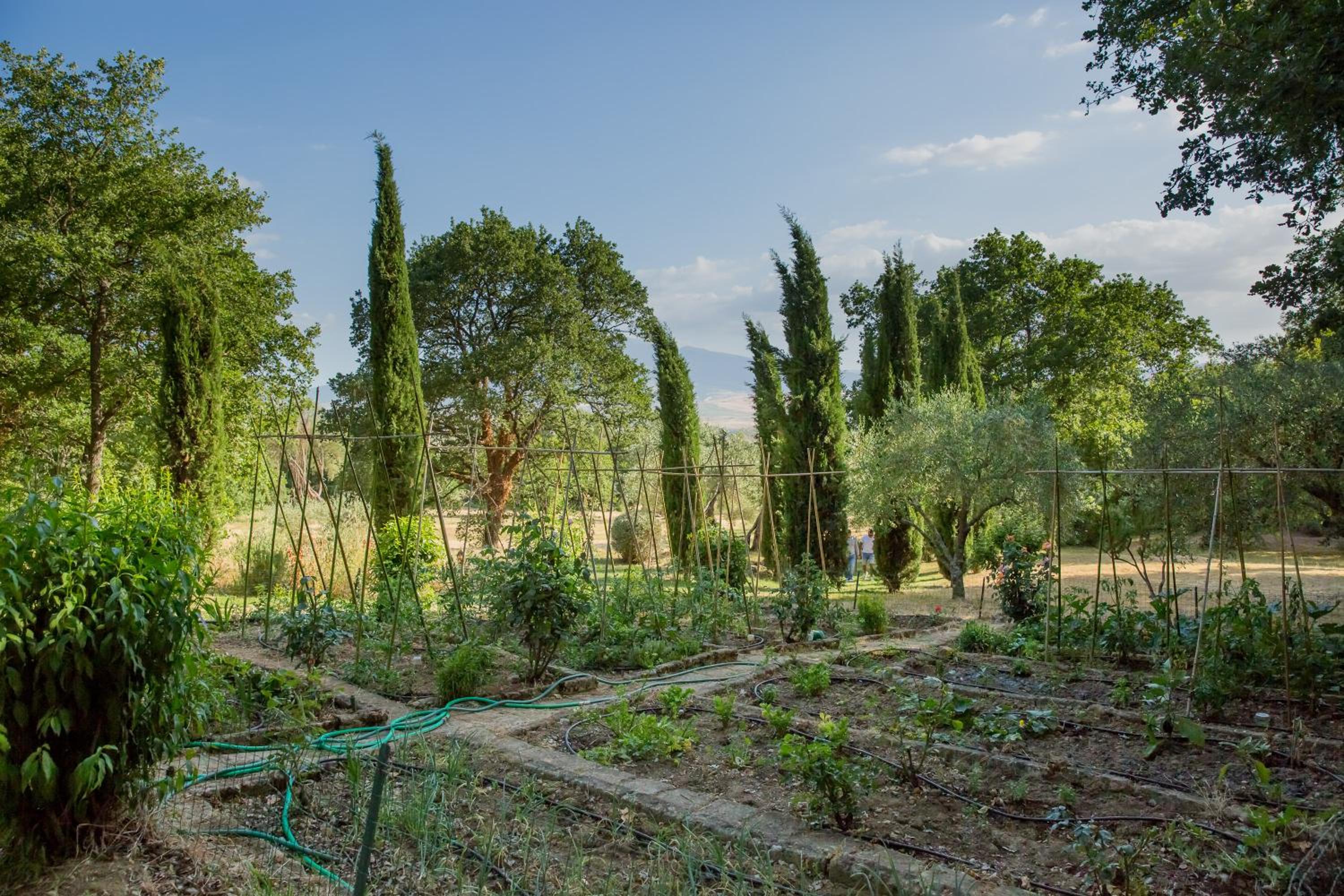 Podere Castelletto