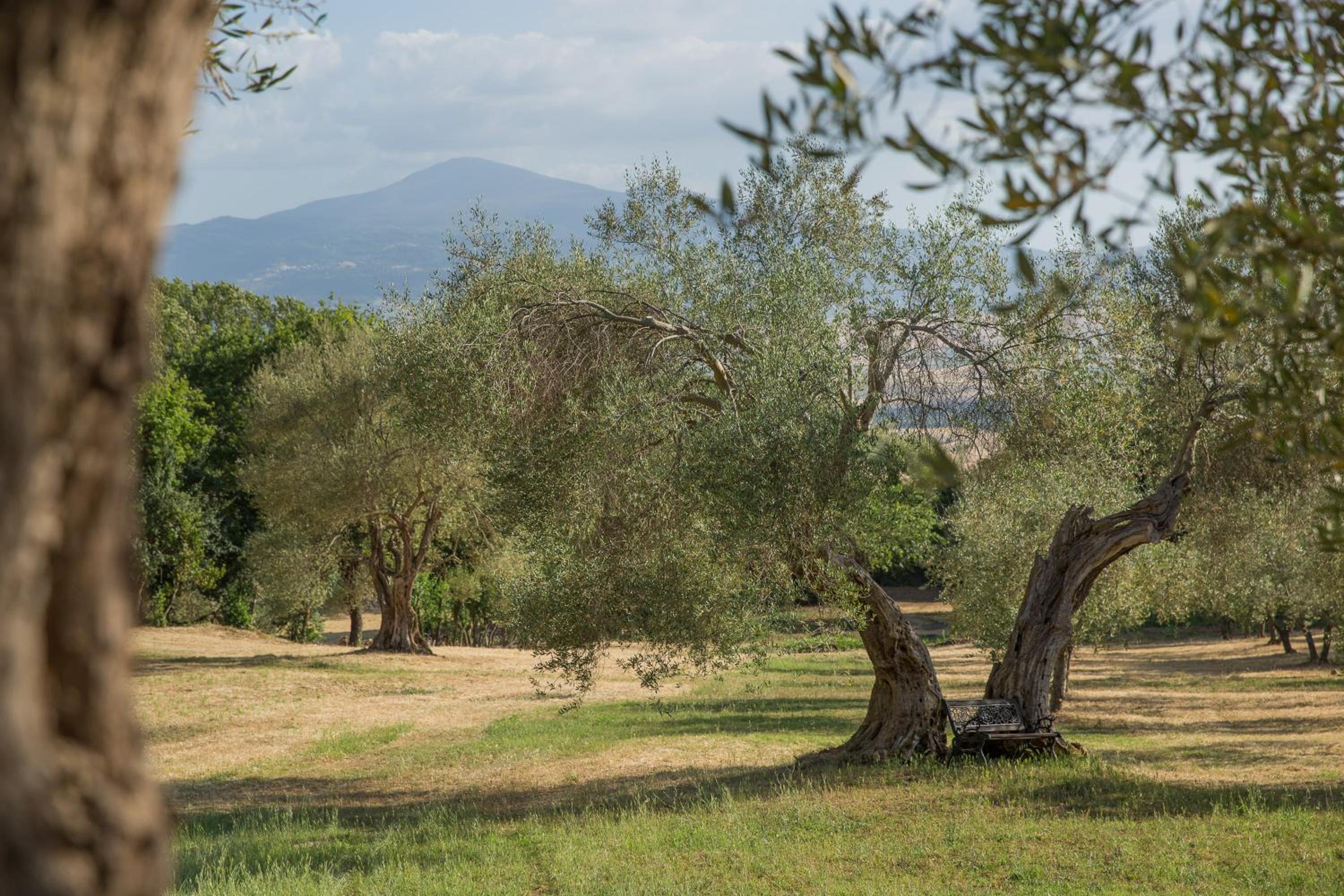 Podere Castelletto