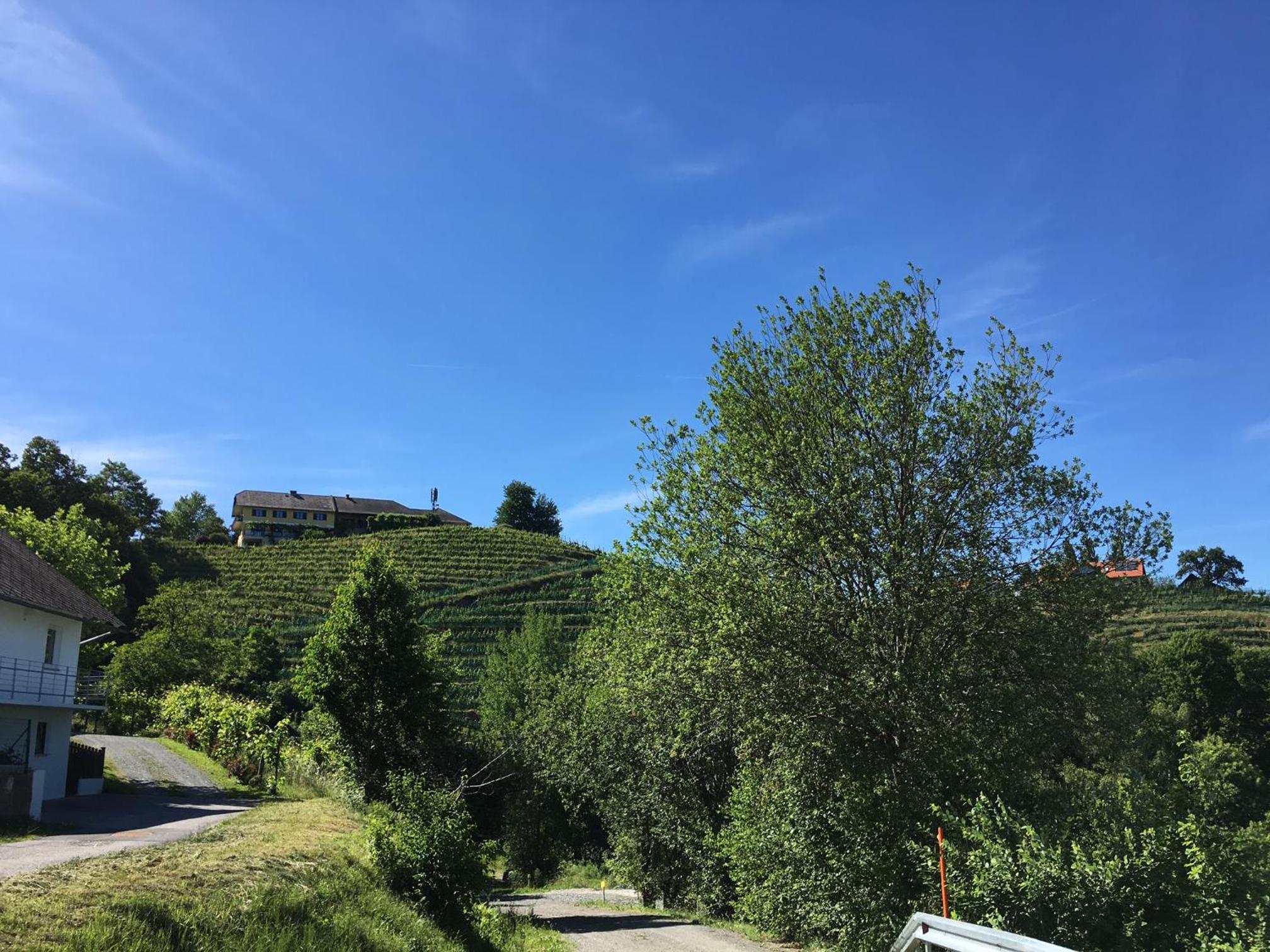 Kellerstöckl Goigner