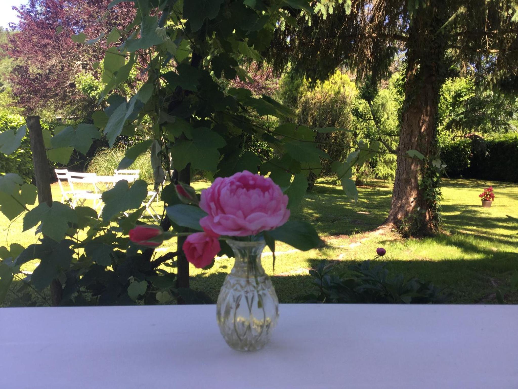 Photo 26
