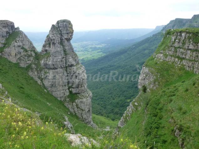Photo 43