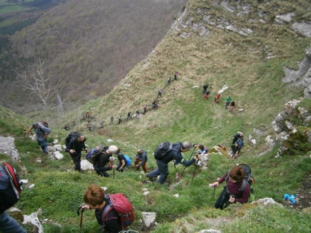Photo 44