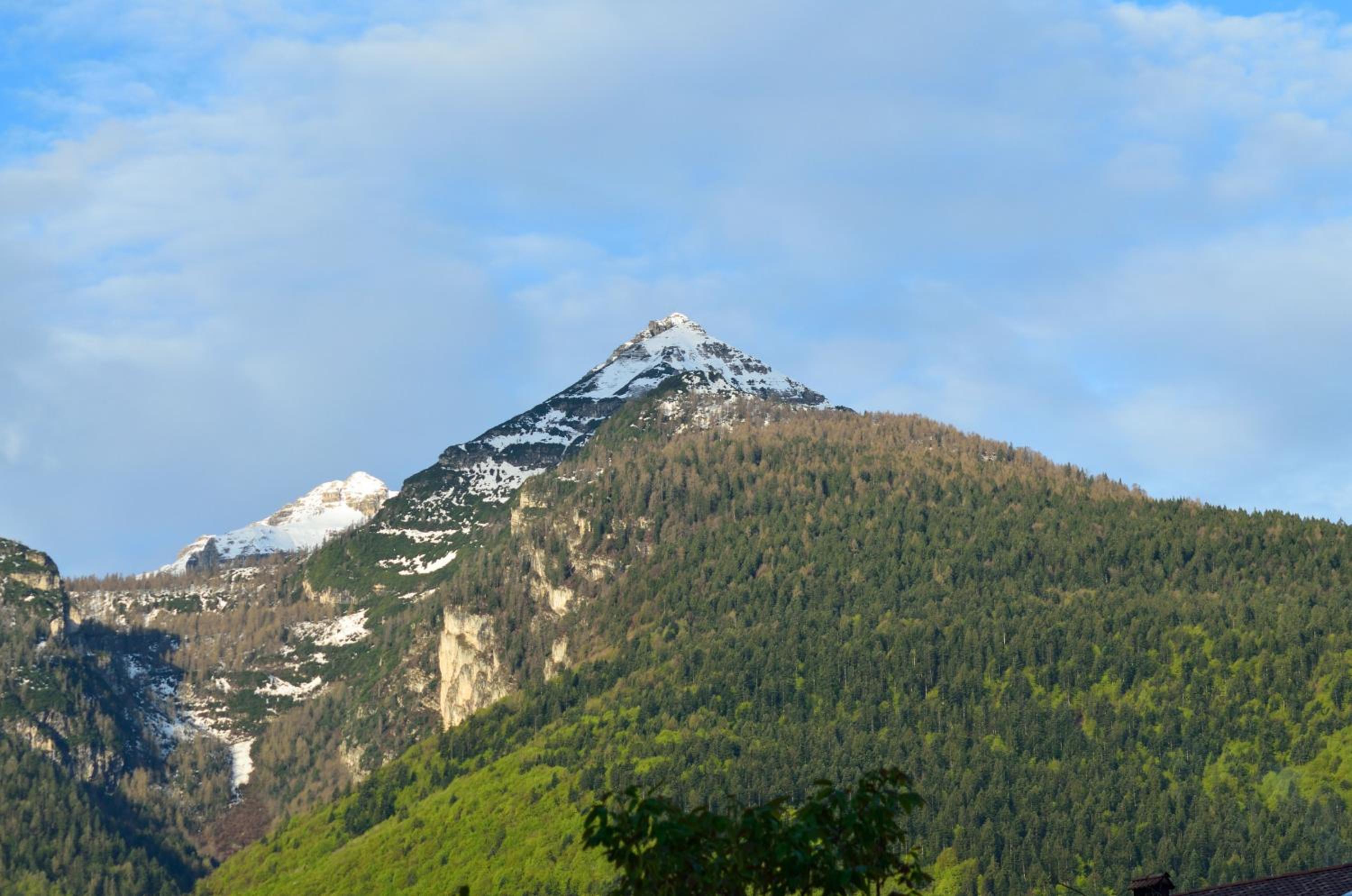 Al Trifoglio
