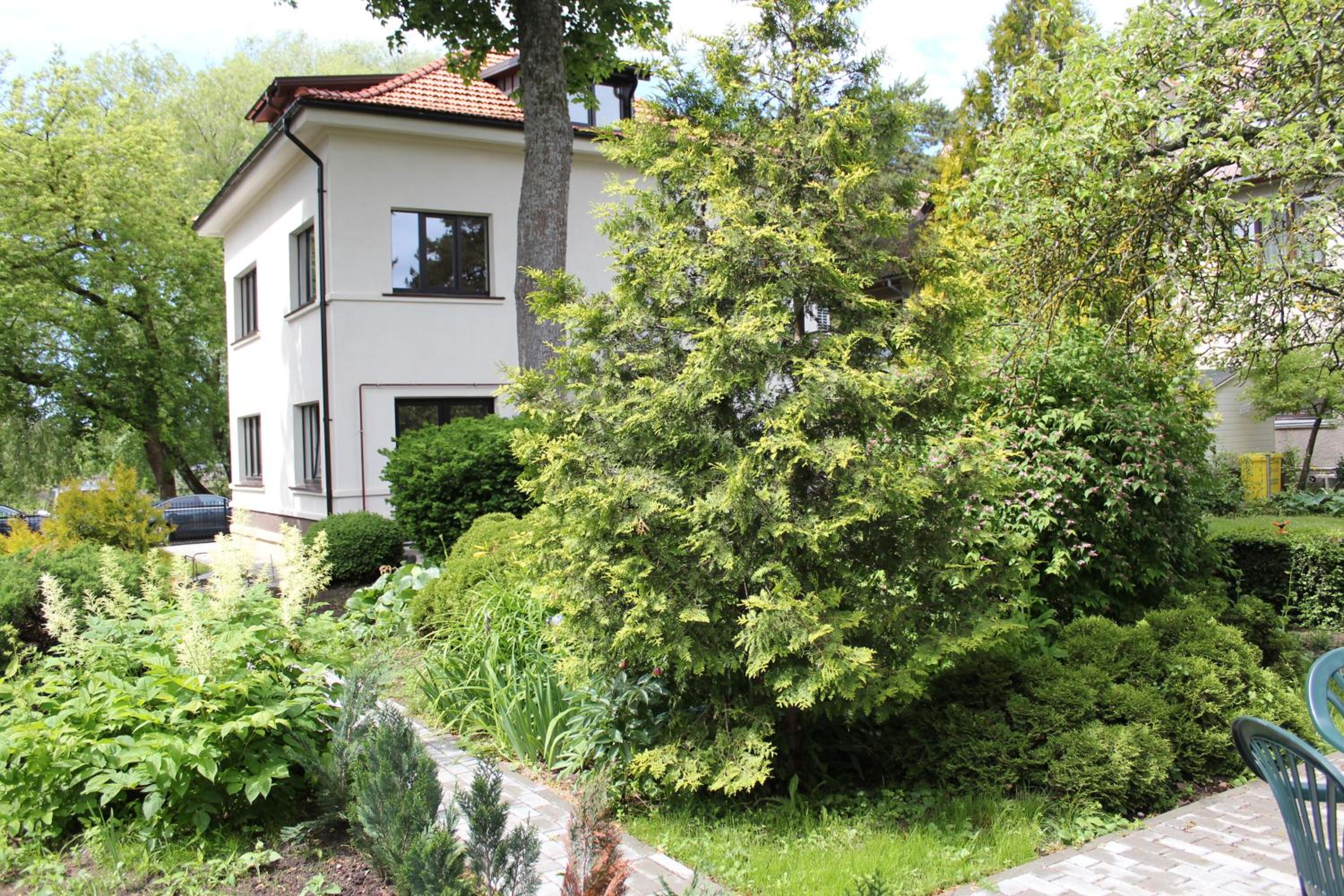 Photo 8