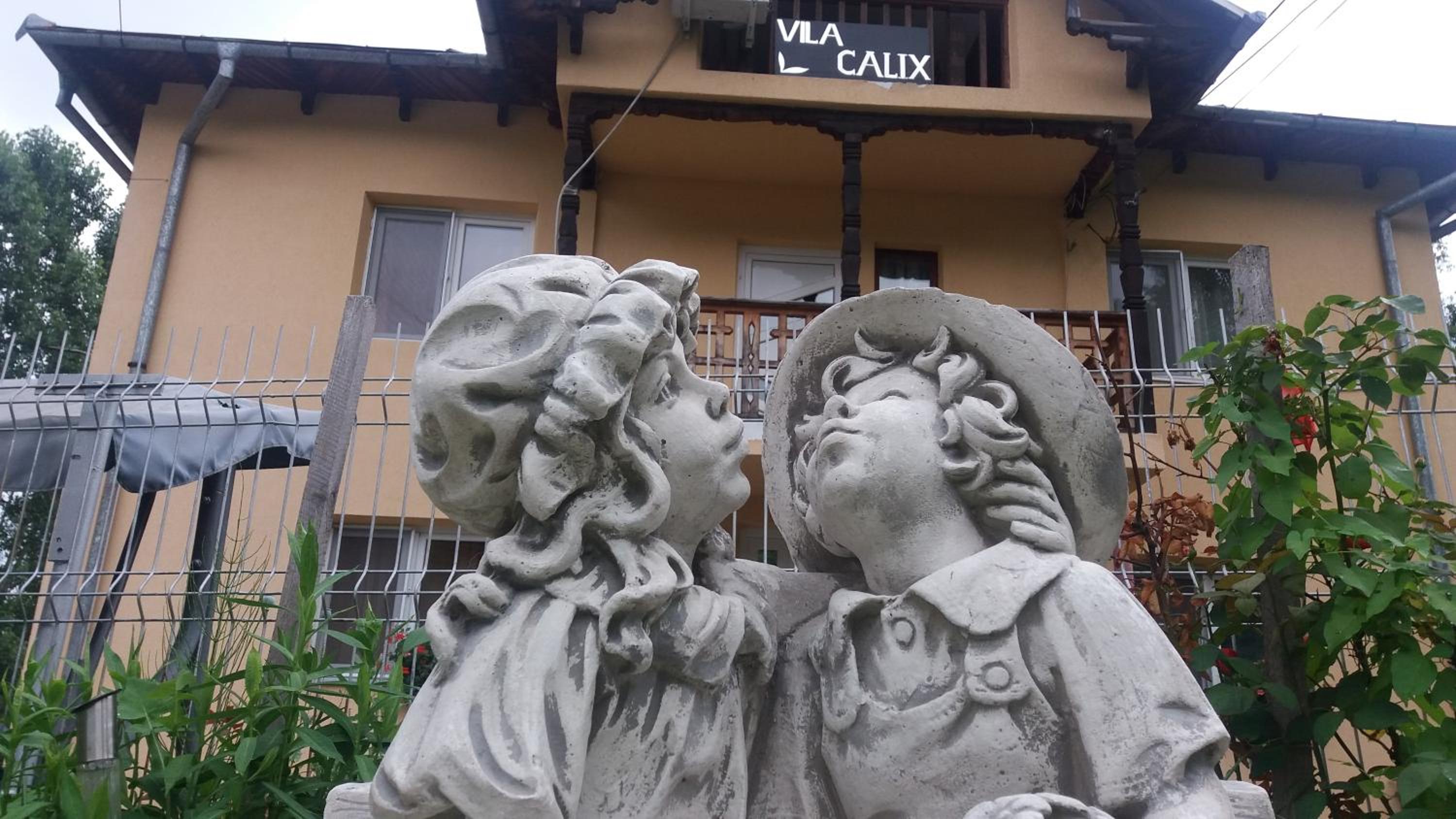 V Calix view 2