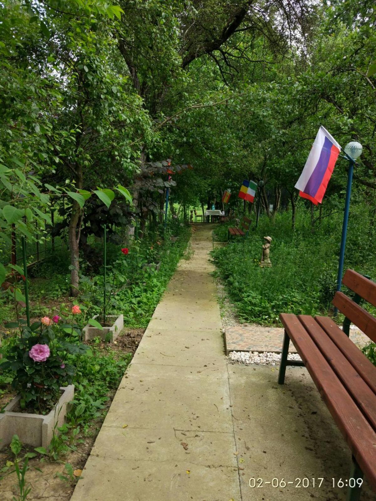 Photo 39