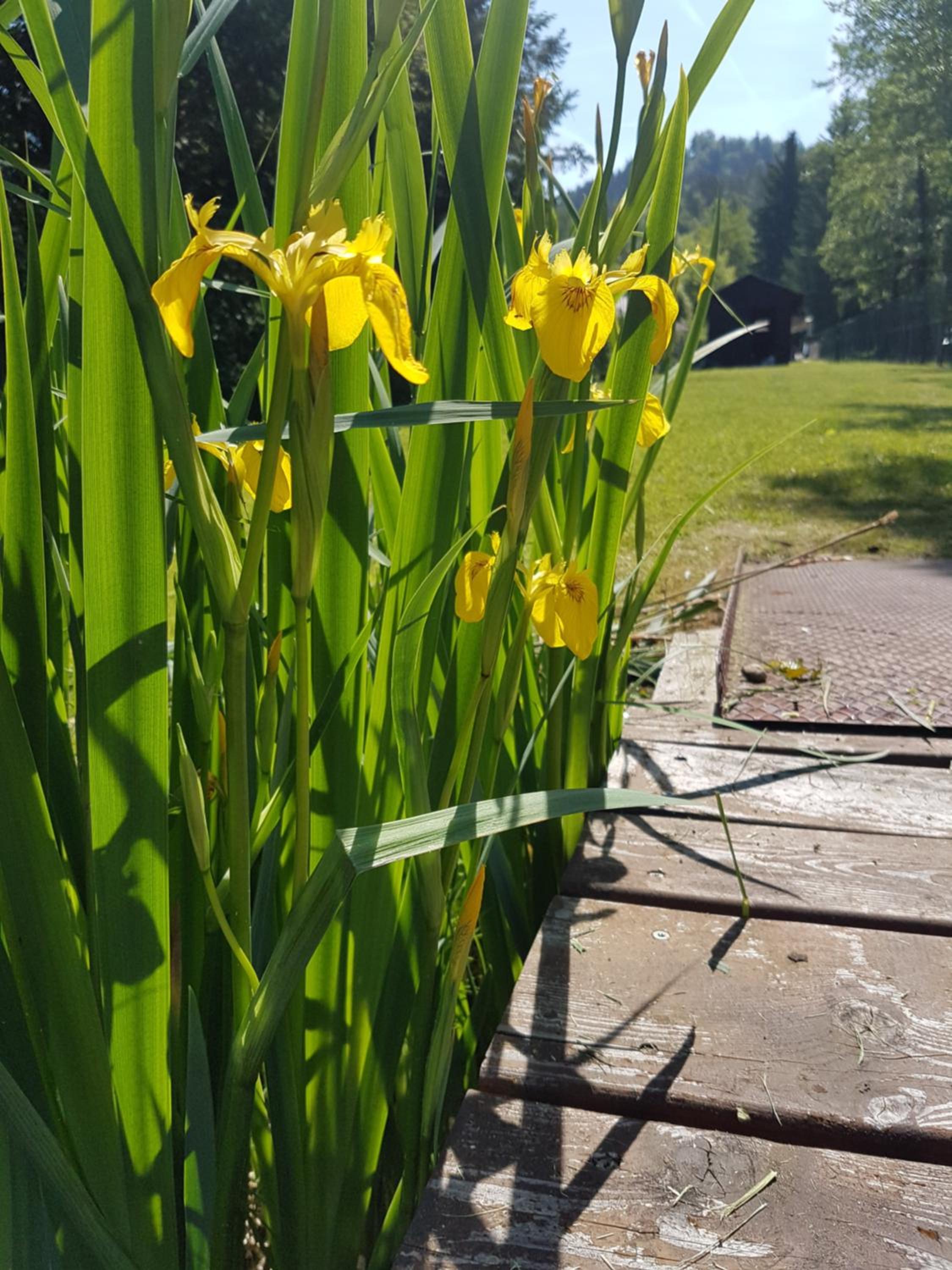 Ferienpension Garni Hubert Rigelnik