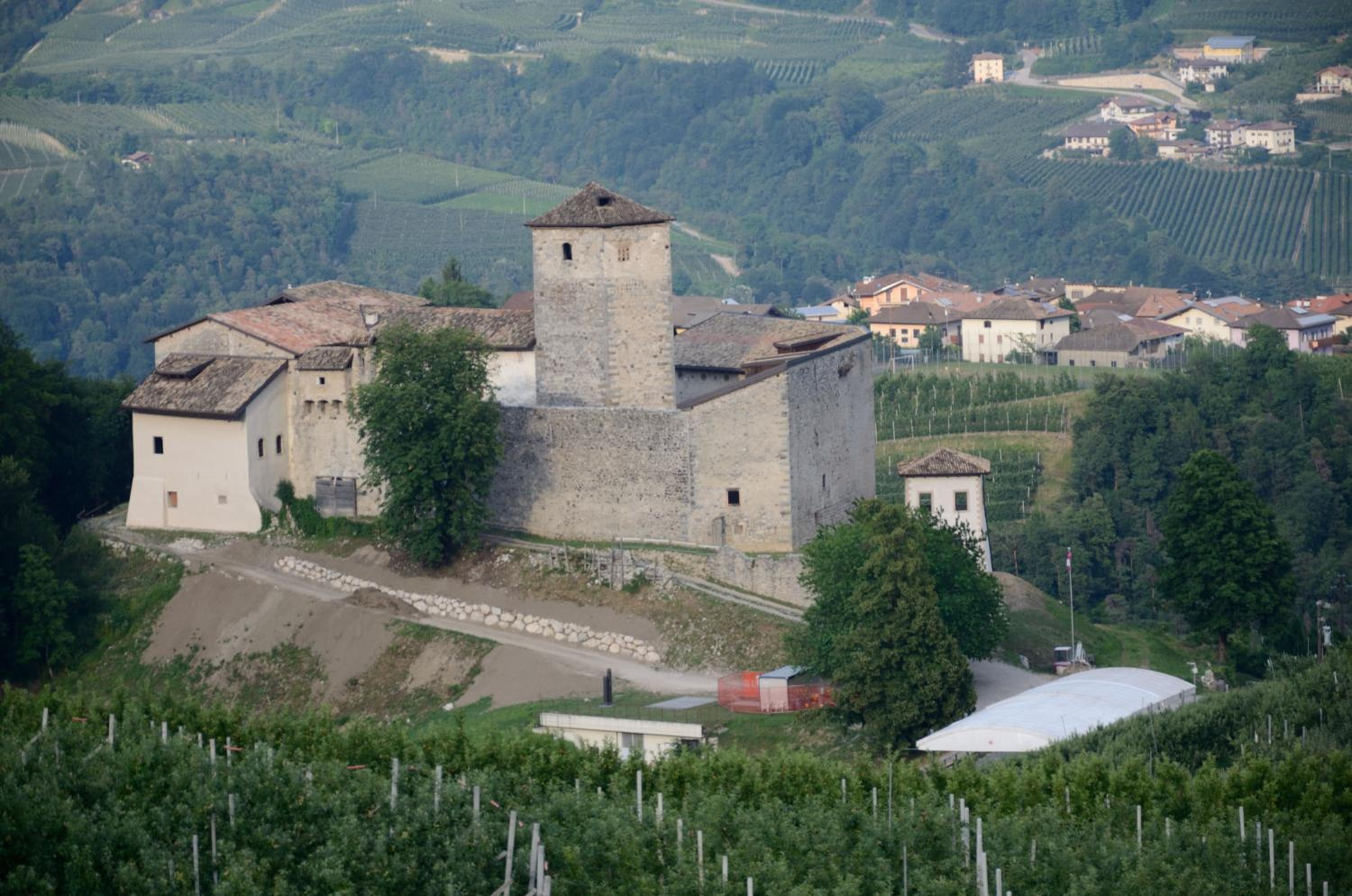 Al Trifoglio