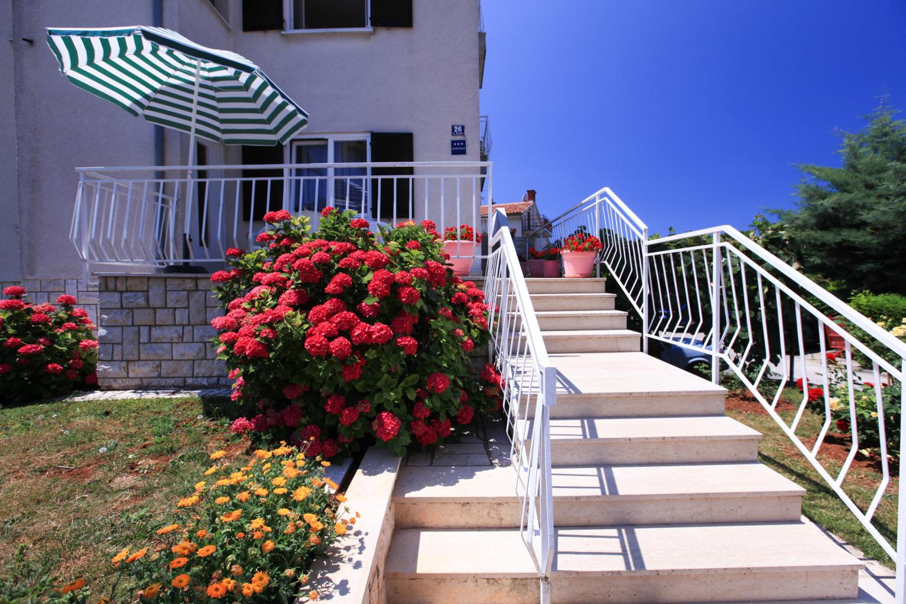 Apartments Laguna view 3