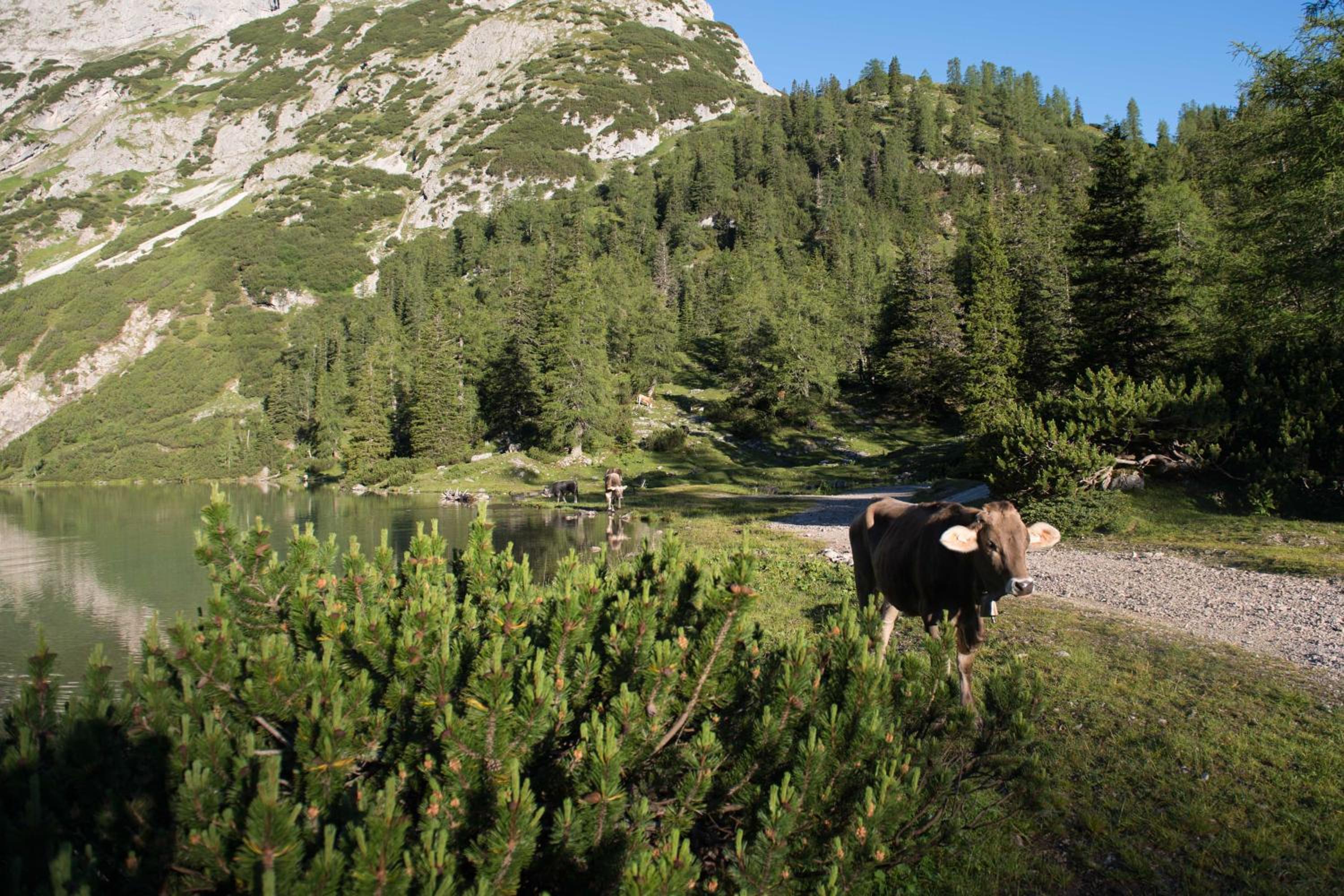 Pension Margret