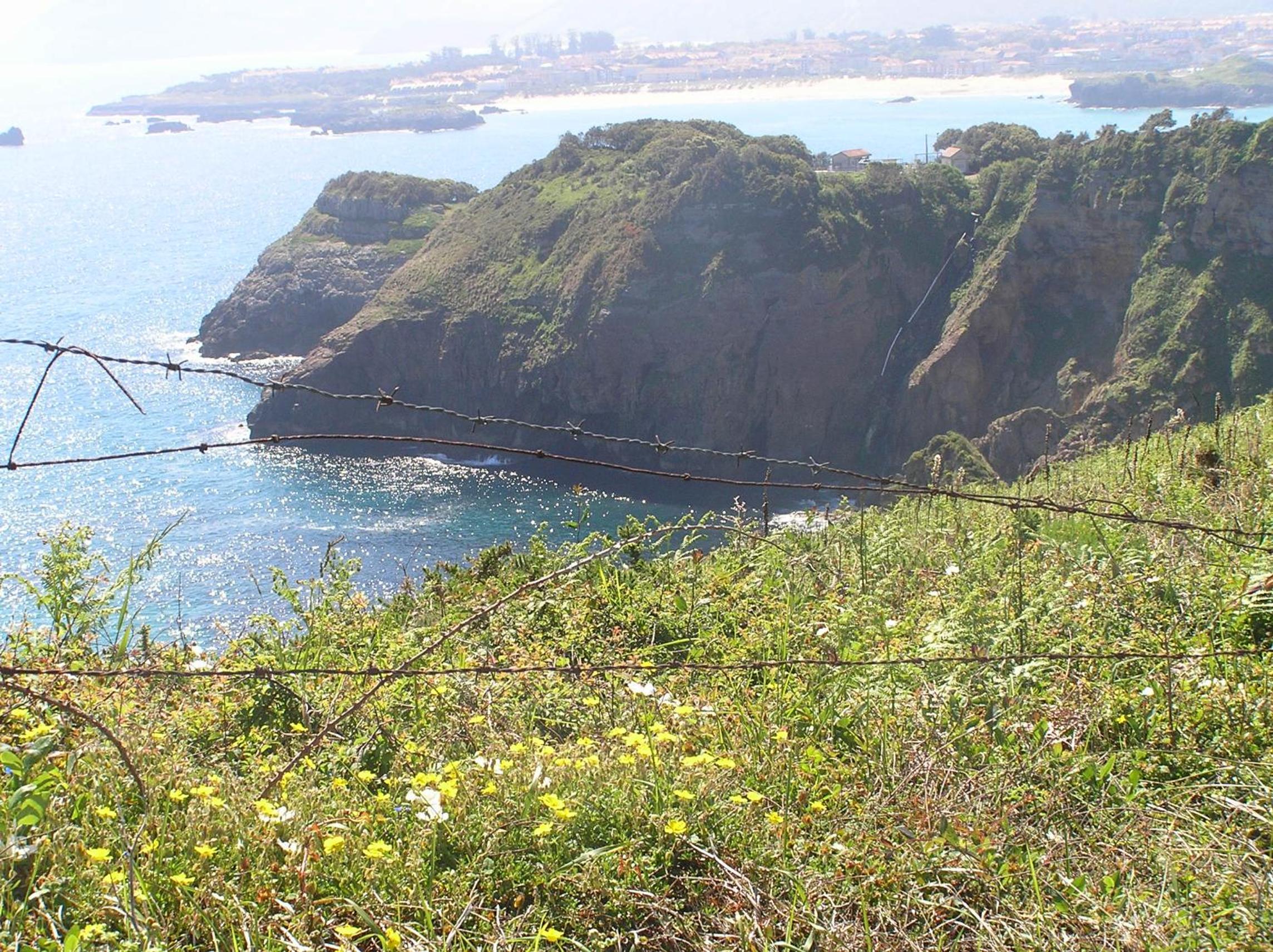 Photo 12