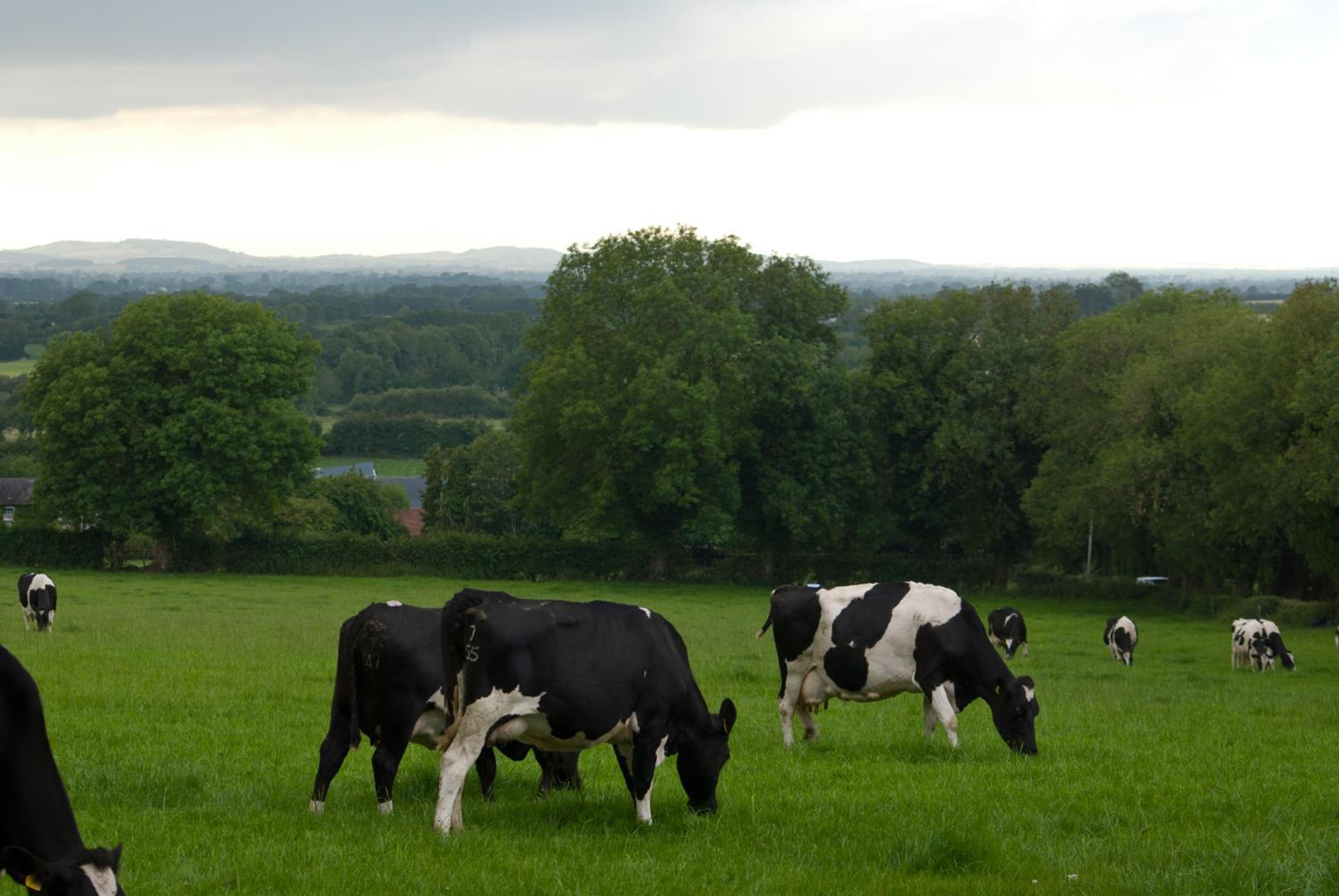 Ballindrum Farm B&B