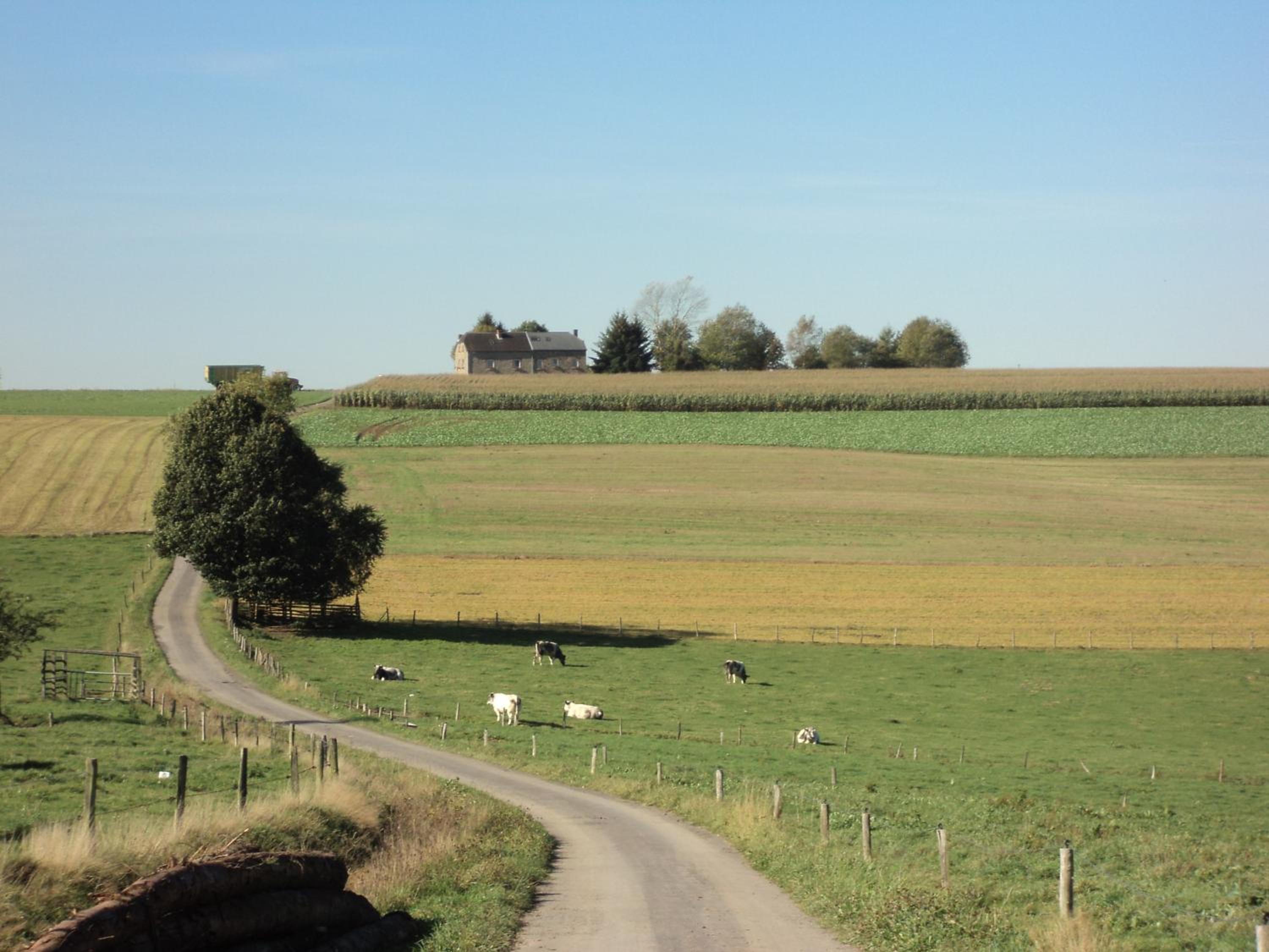 B&B La Niouche