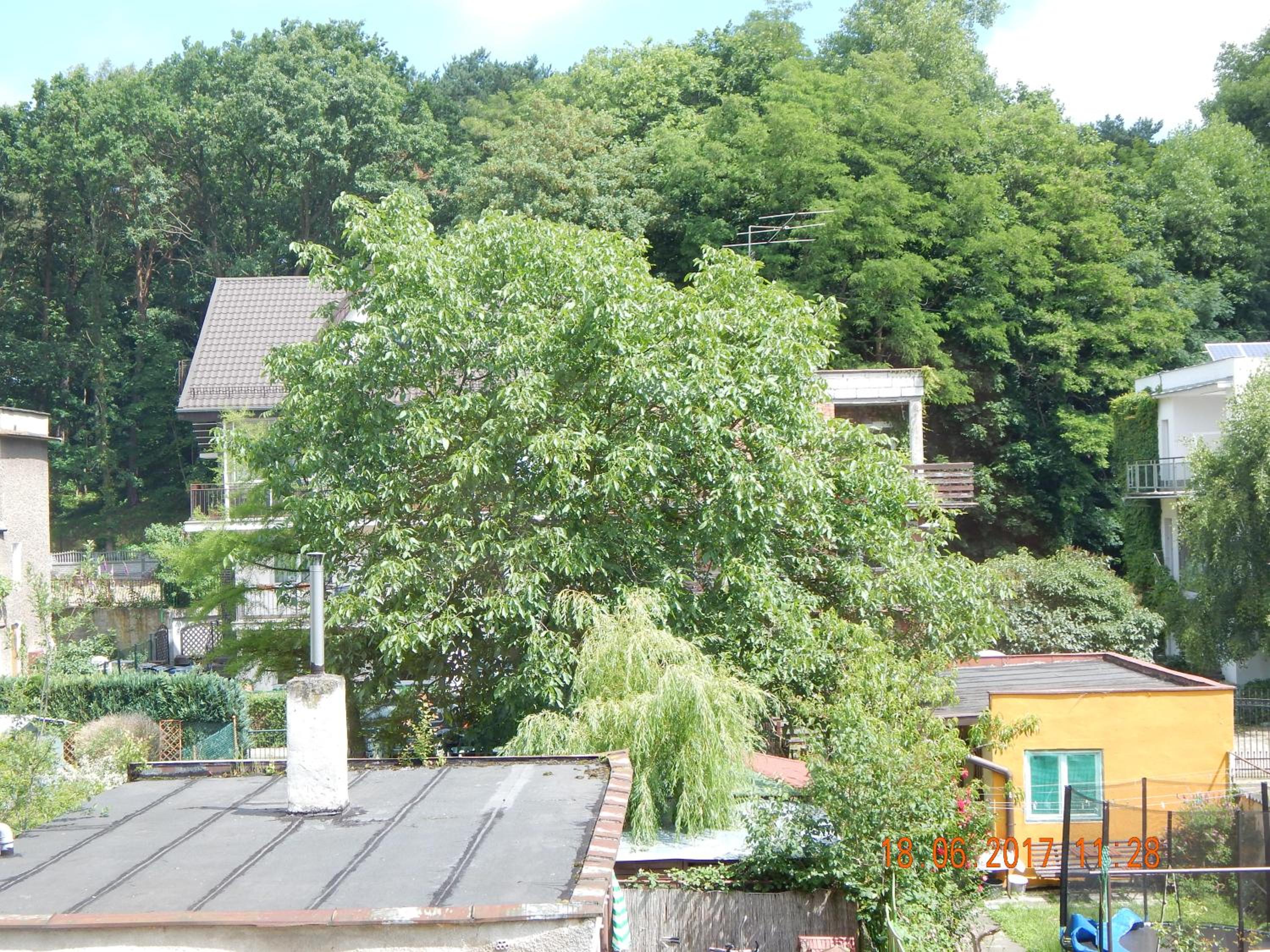 Apartamenty Wyspiańskiego view 2