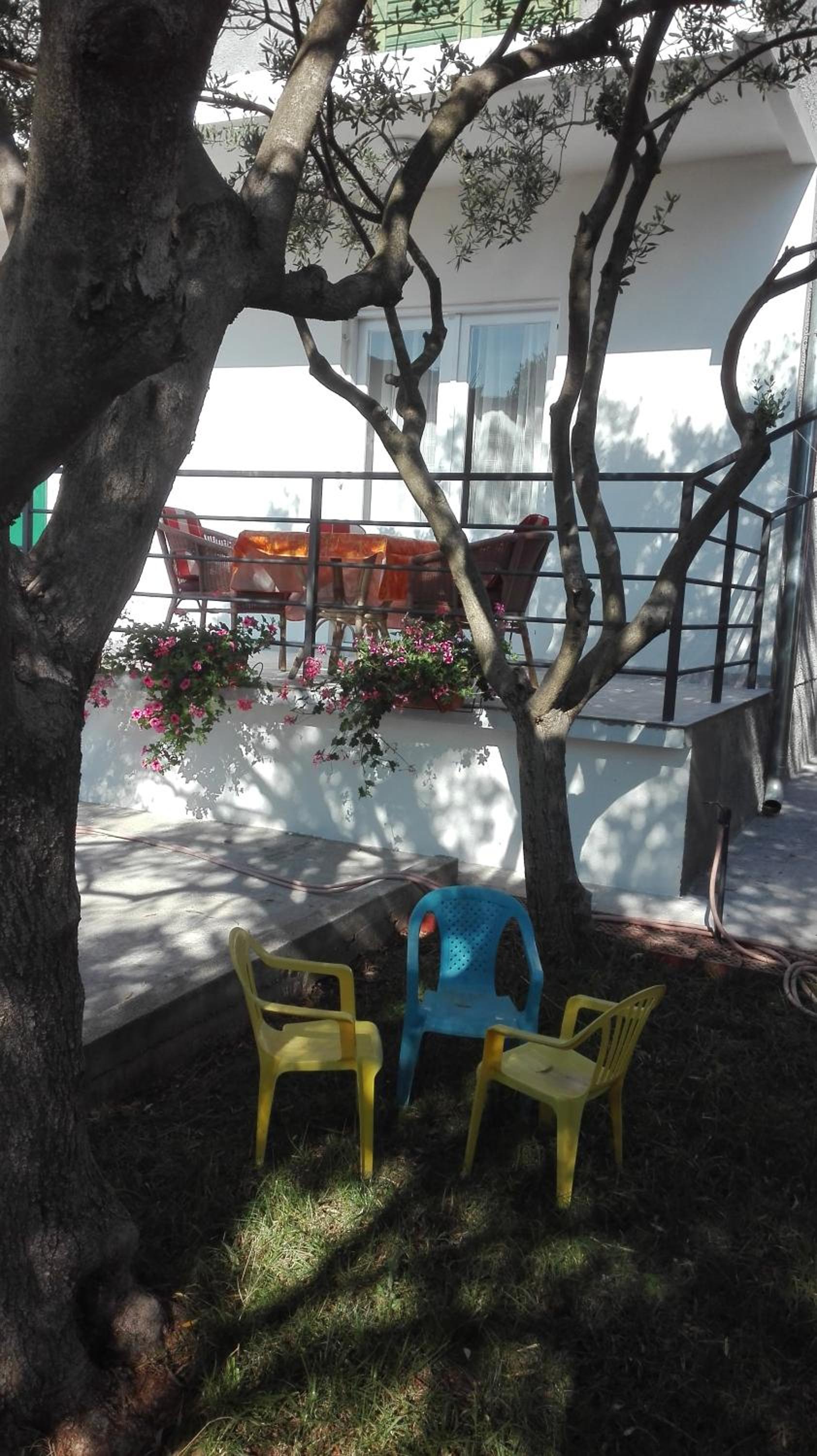 Photo 42