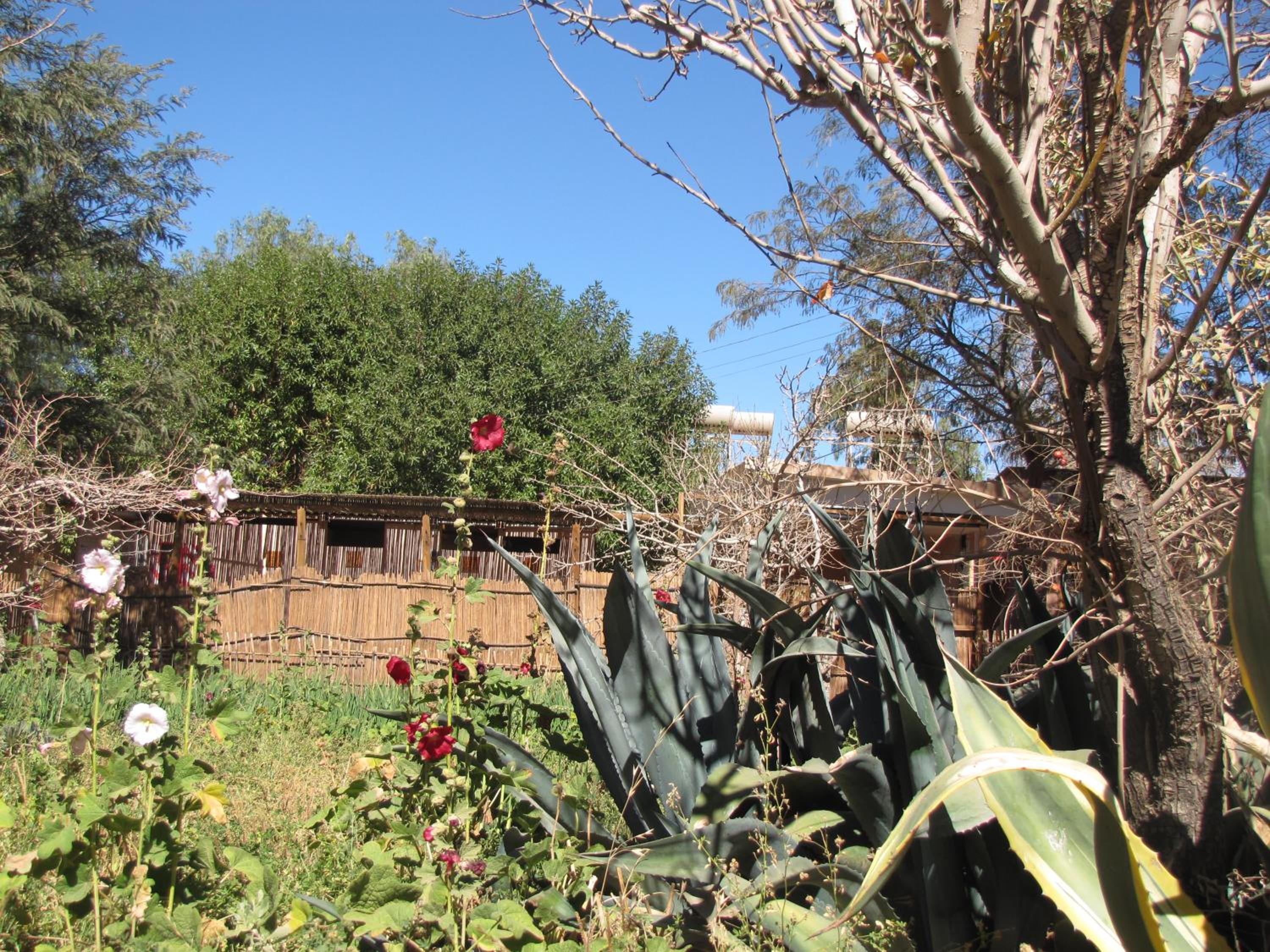 Hotel-Camping Takha Takha