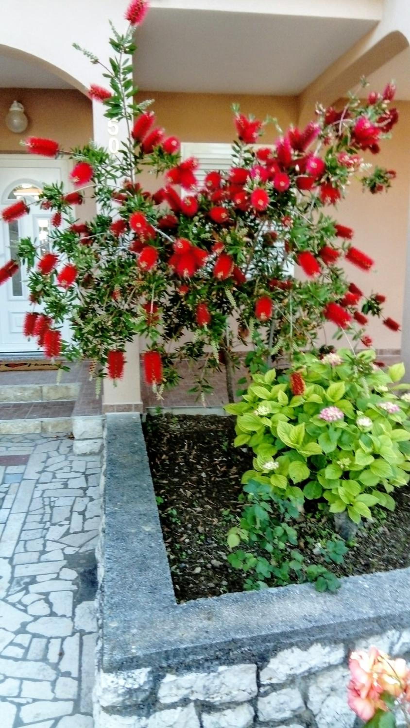 Photo 38