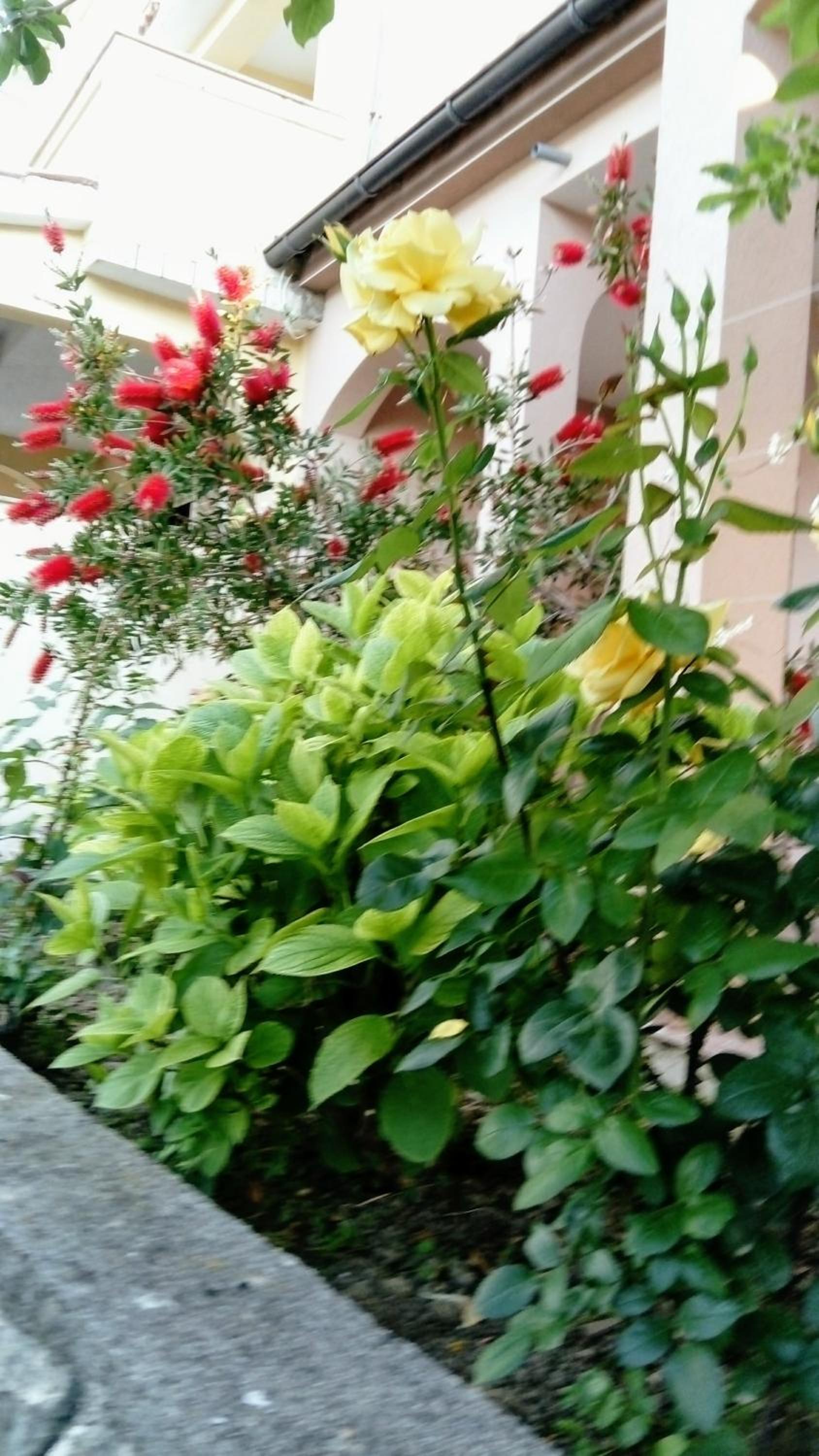 Photo 37