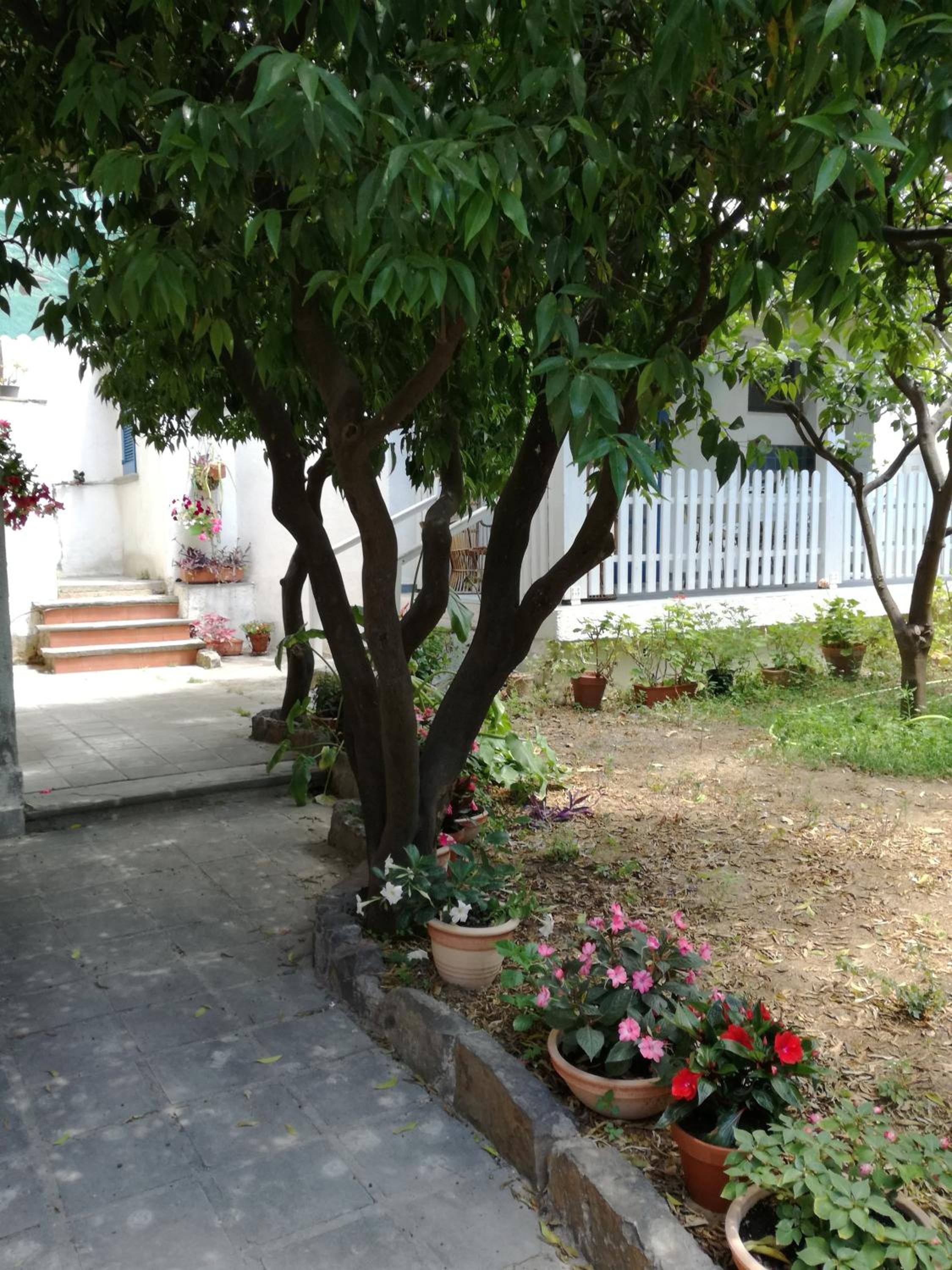 Photo 24