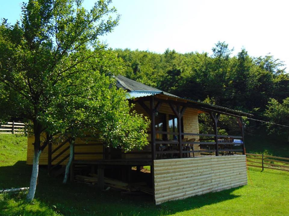 Photo 40