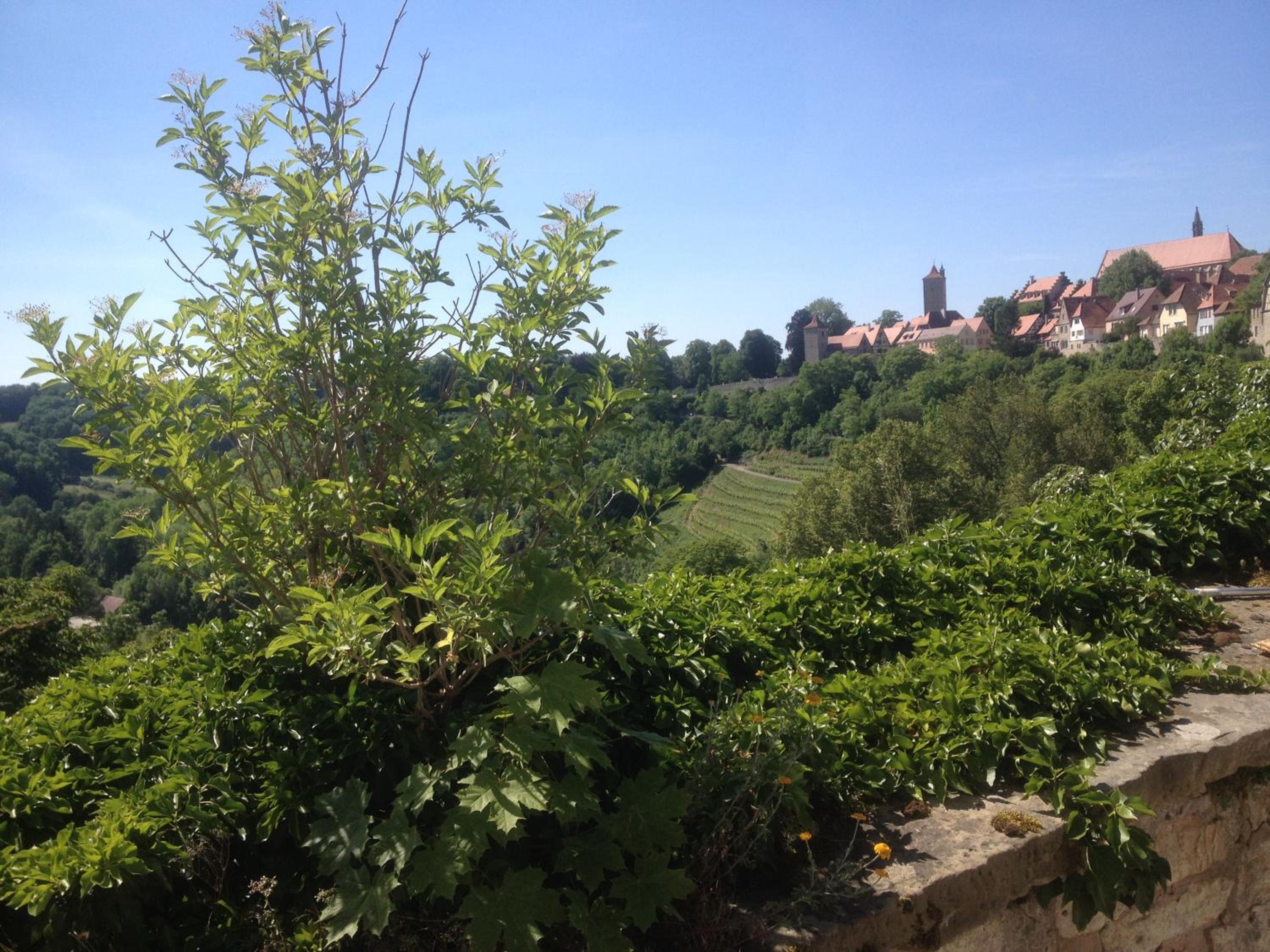 Photo 28