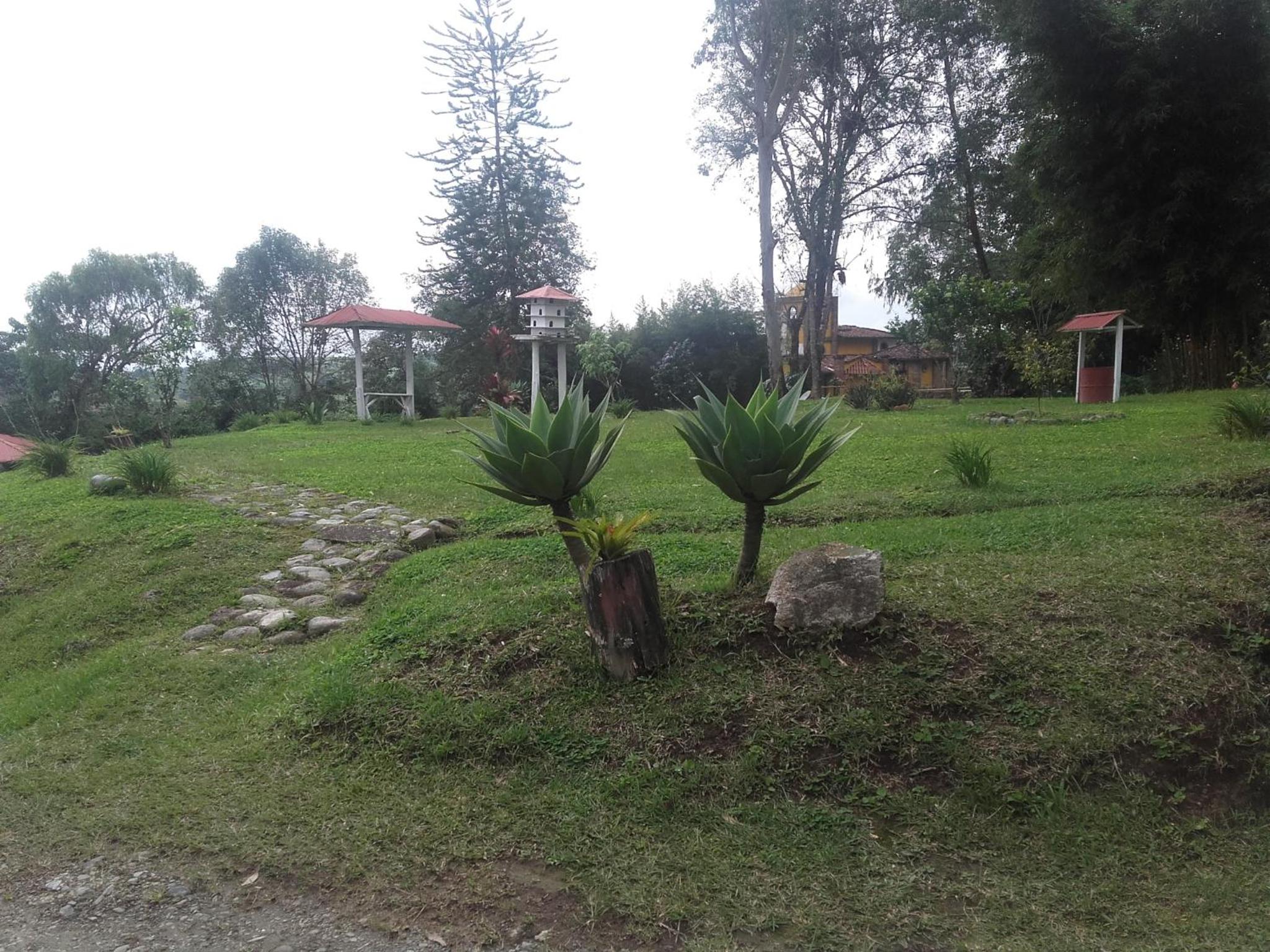 La Gaviota BnB