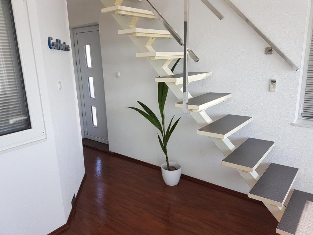 Photo 100
