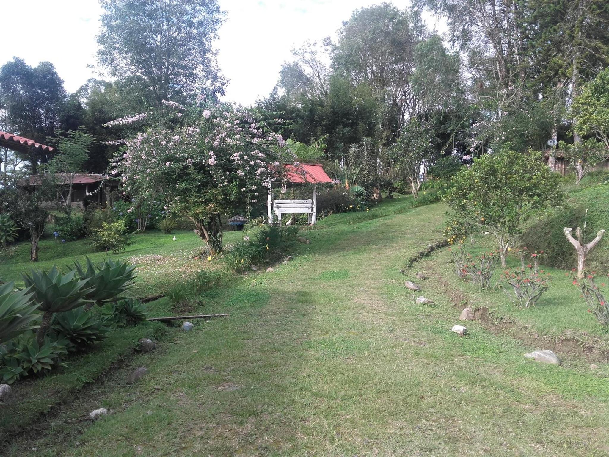 La Gaviota BnB