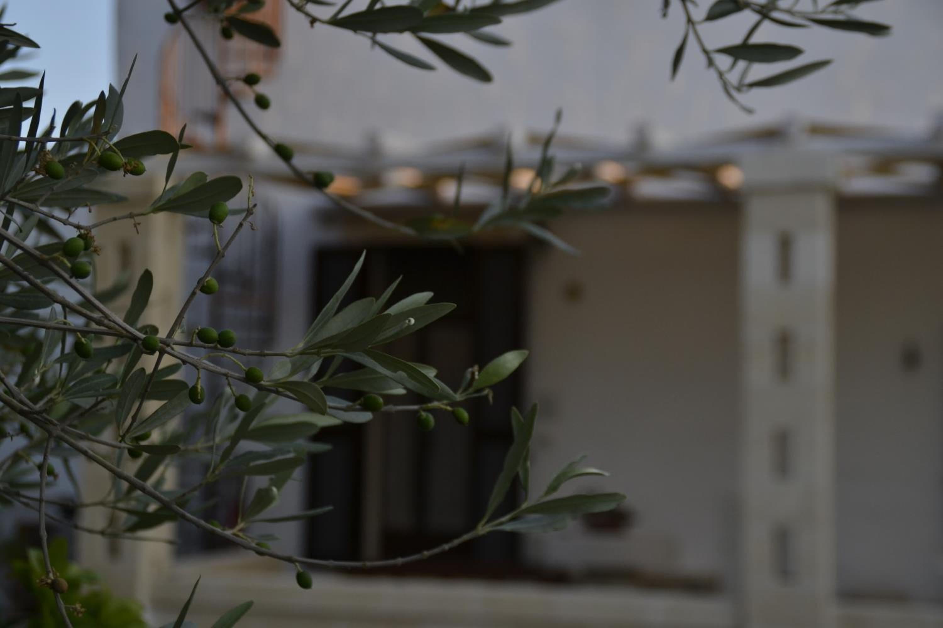 Masseria 77 view 2