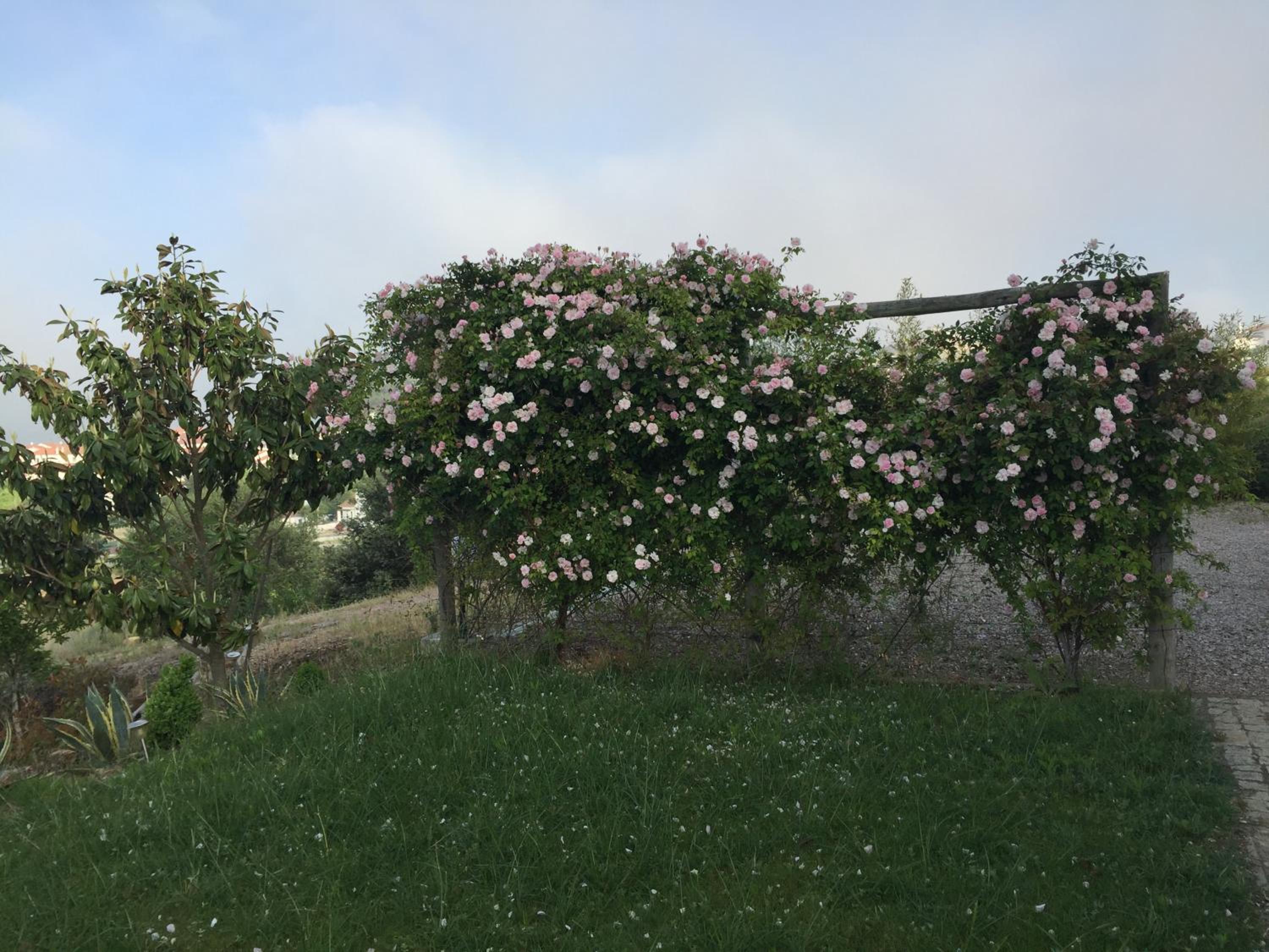 Photo 47