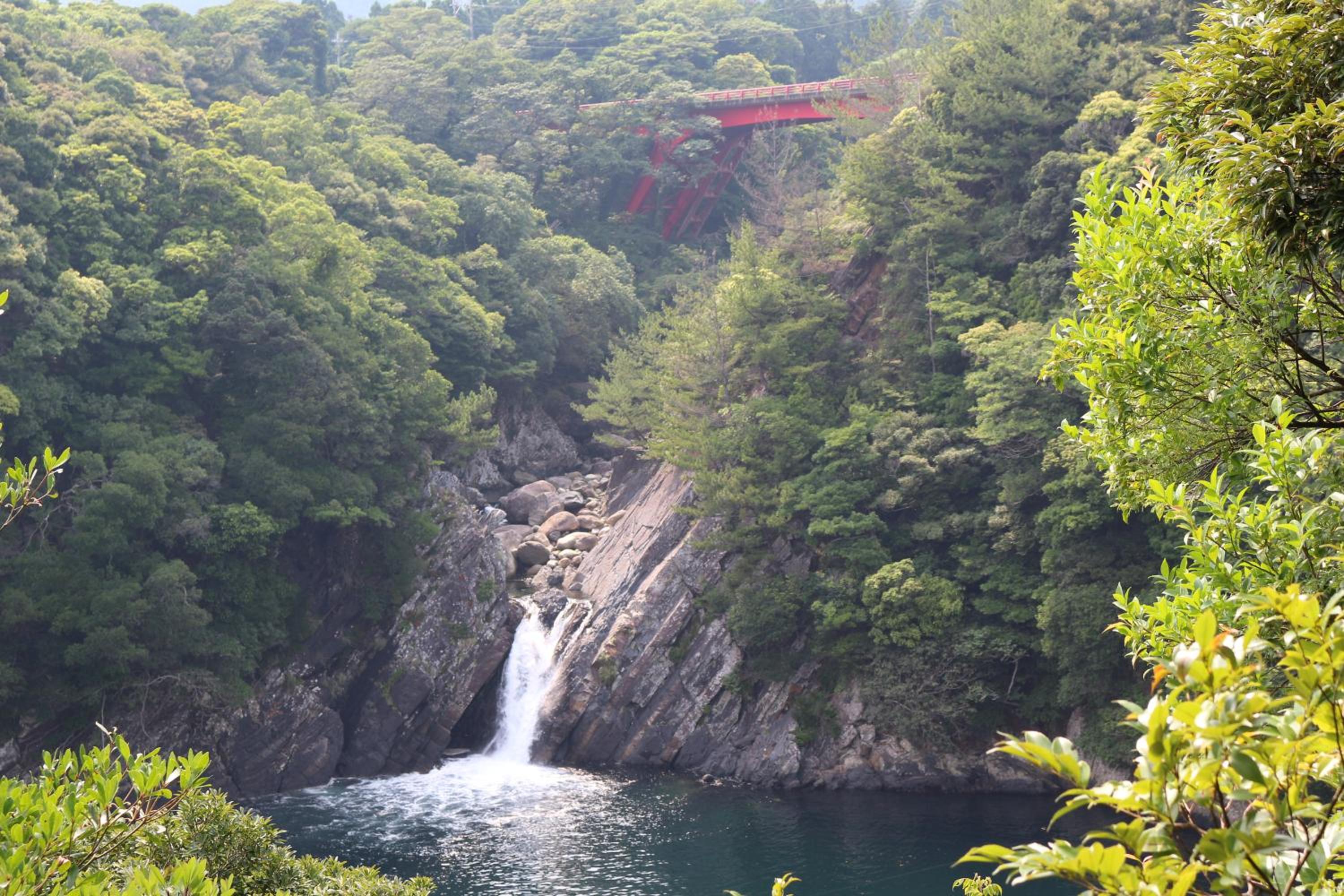Cottage Yakusugi House