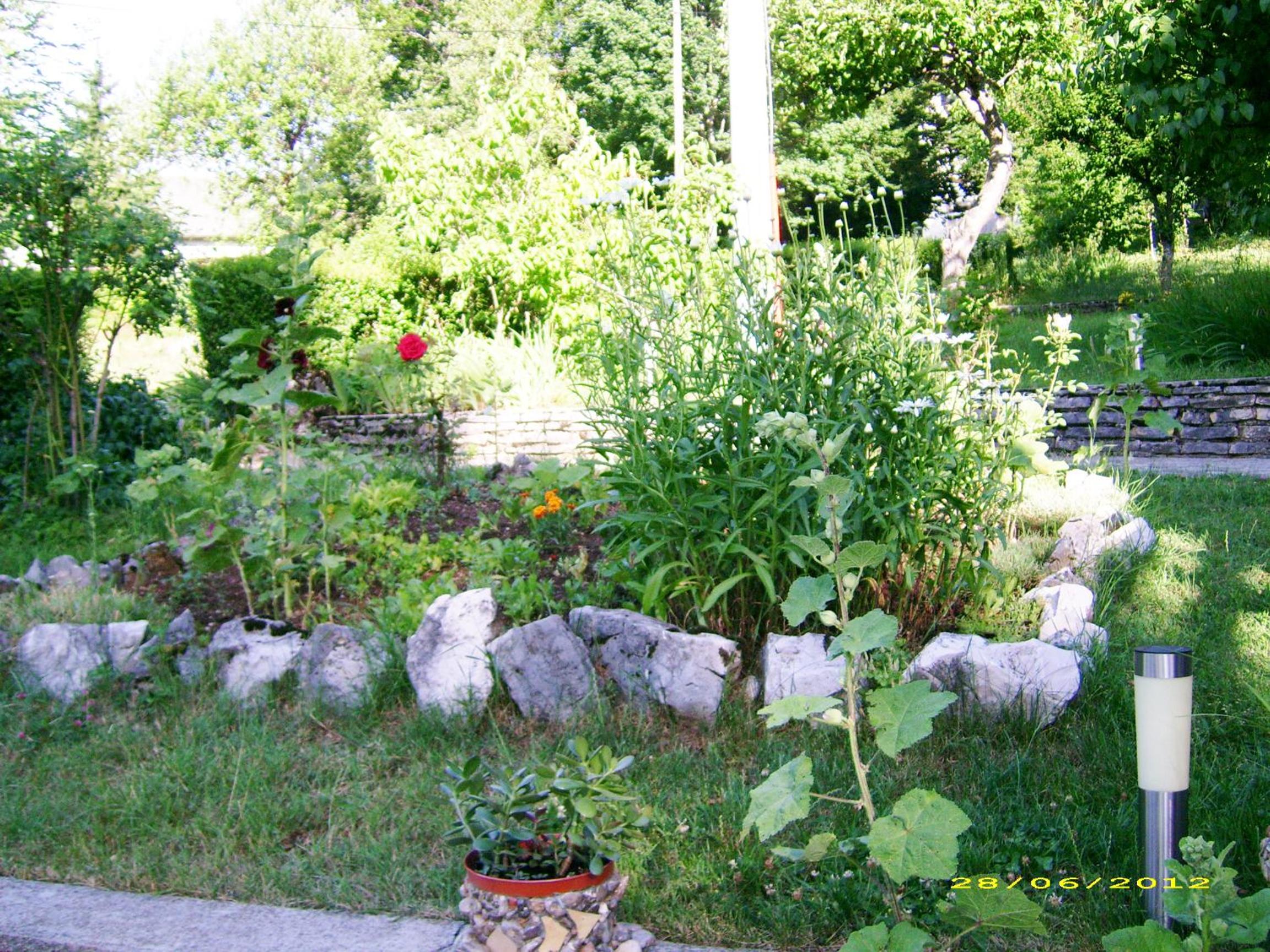 Photo 8