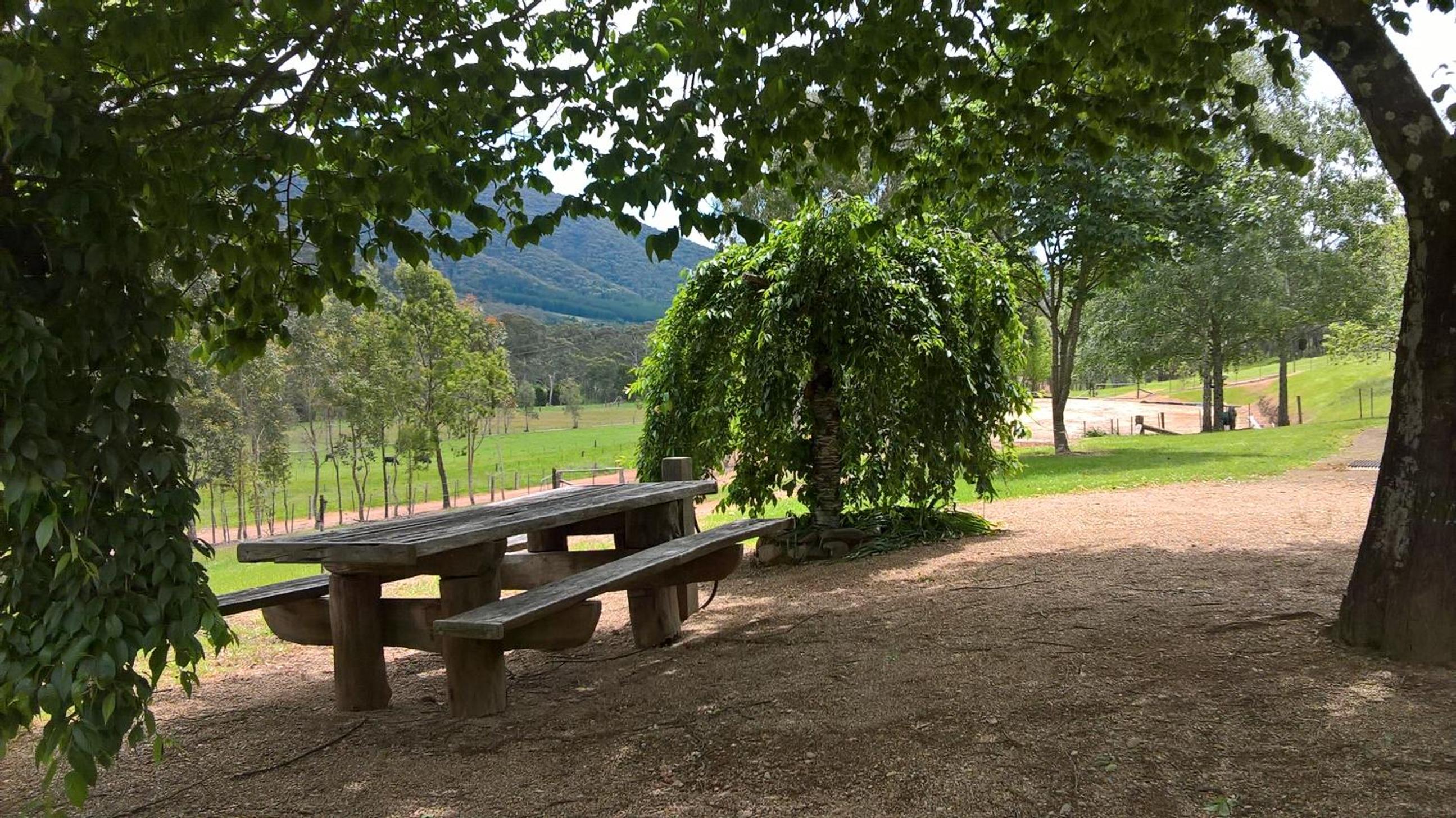Riverbend Homestead